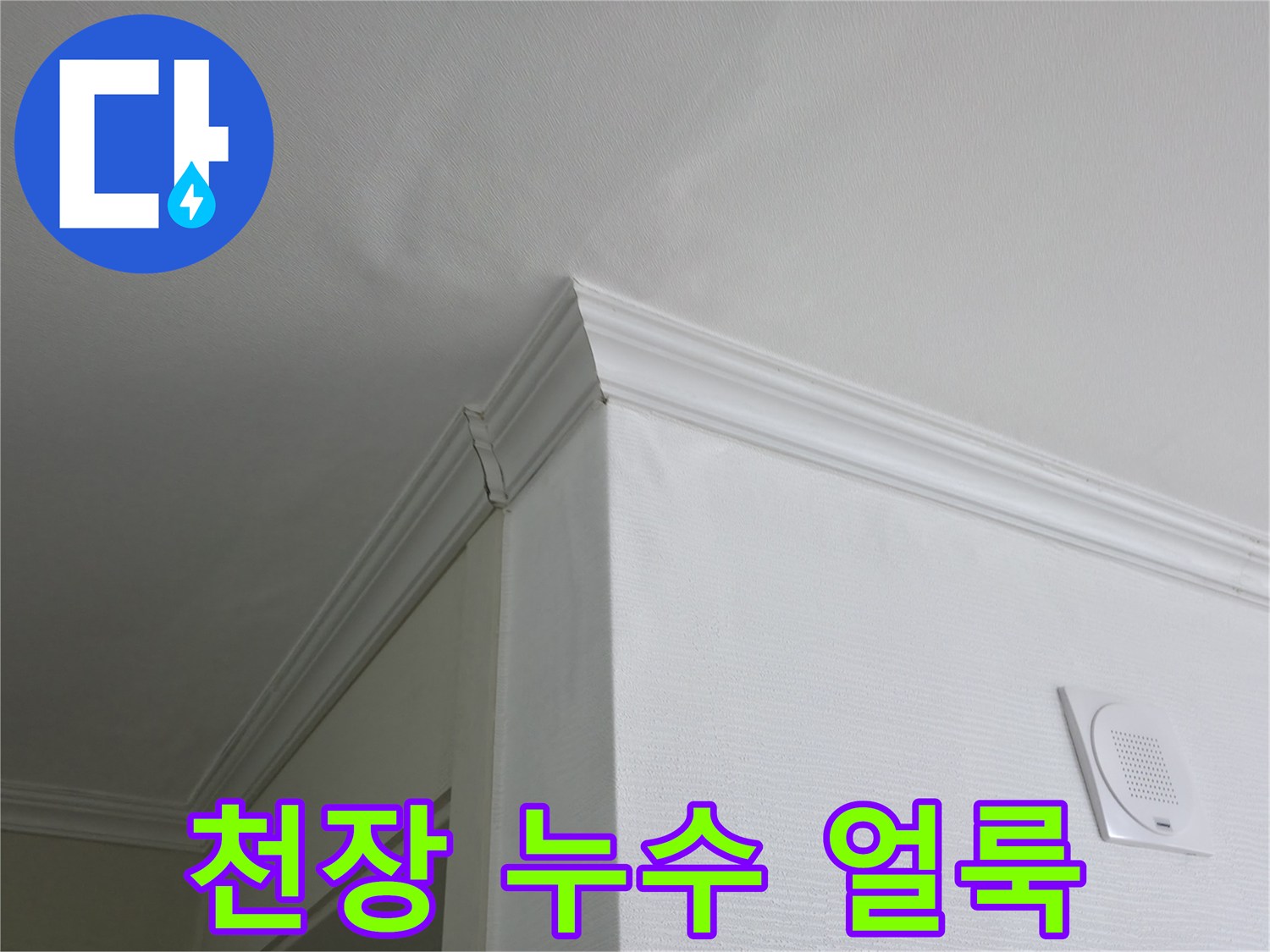 천장 몰딩 부근의 젖은 듯한 변색 지점