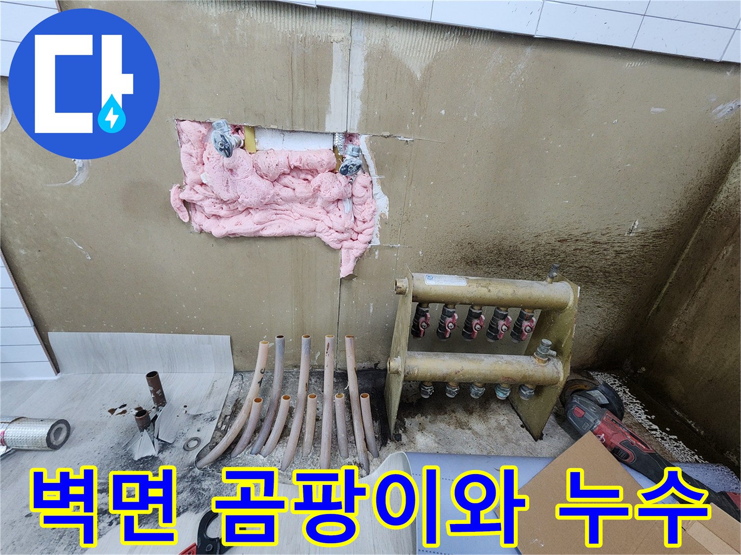 분배기 주변 벽면에 발생한 습기와 곰팡이 흔적