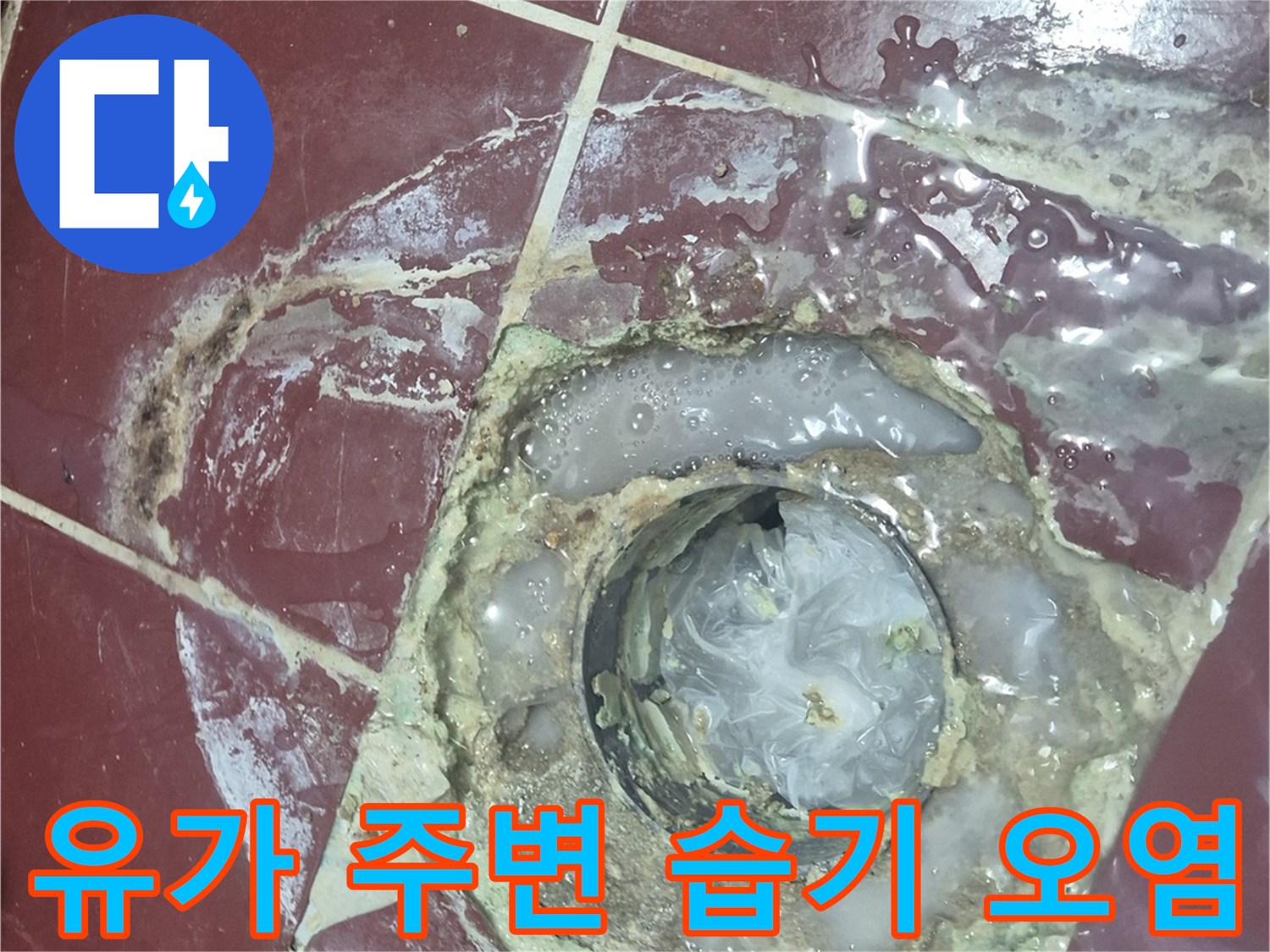 배수구-주변-타일-사이의-오염된-물때와-습기-흔적