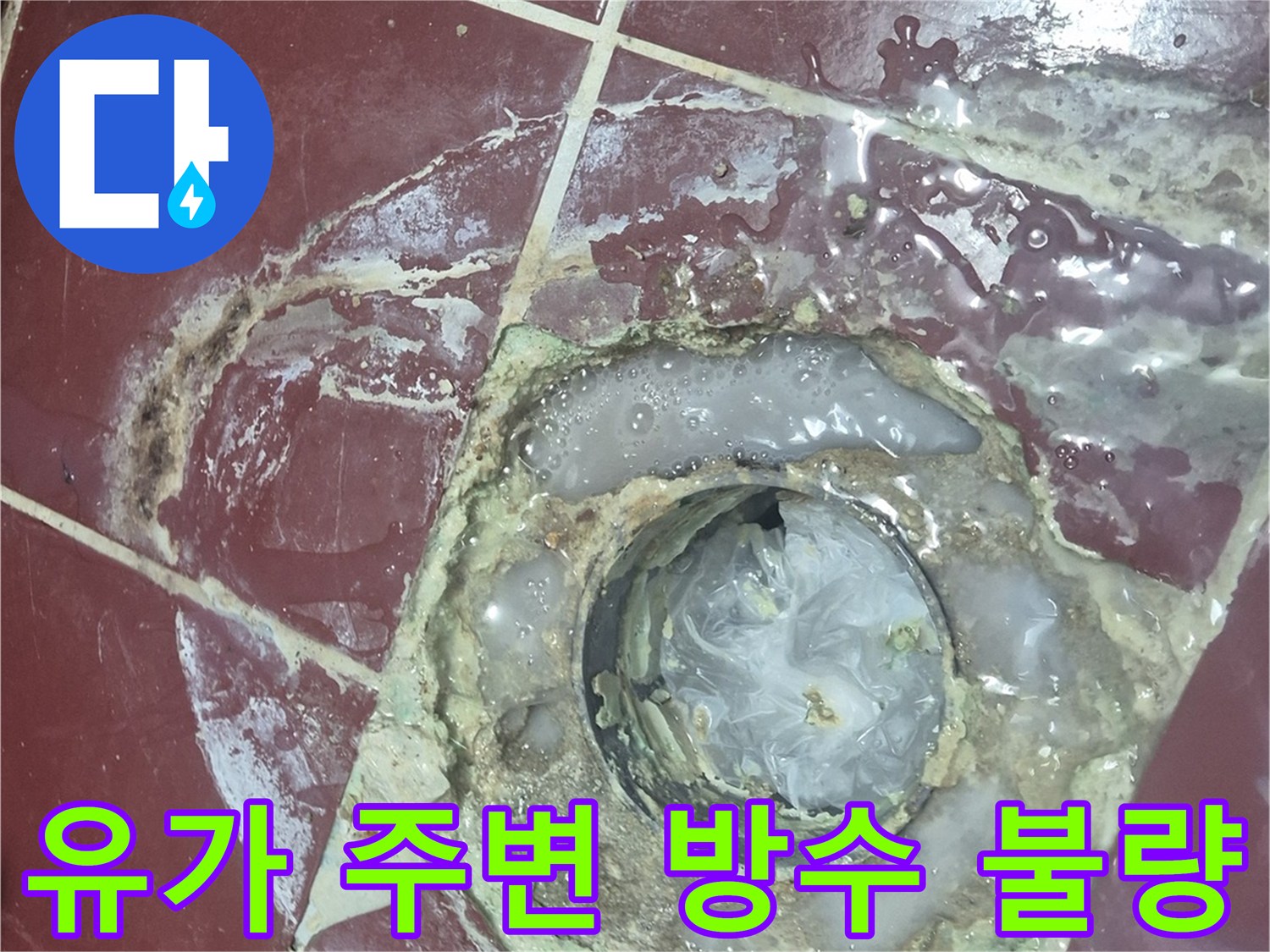 배수구-주변의-물때와-오염된-타일-틈새-상태