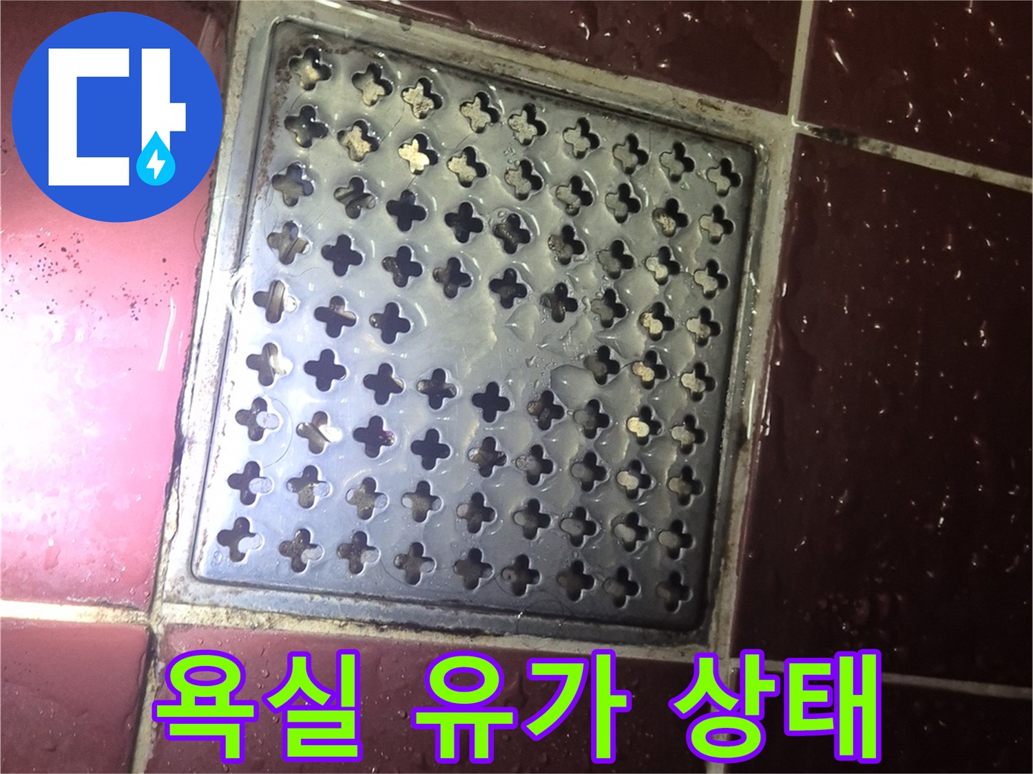 양주 백석읍 화장실 바닥 배수구 유가 주변 점검 사진