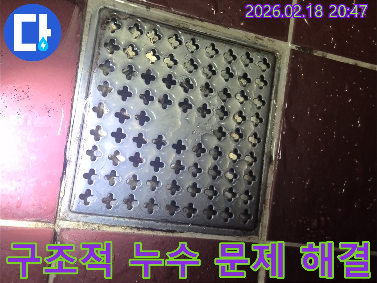 양주 백석읍 화장실 배수구-주변 물고임 현상으로 인한-구조적 문제 해결 현장