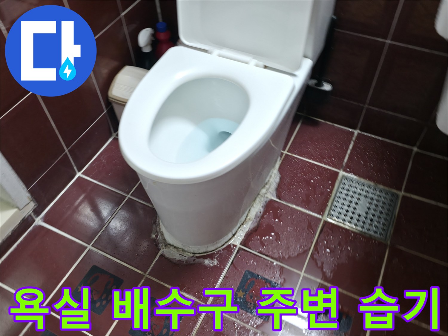 양주 백석읍 화장실-변기 및 유가 주변 타일 젖음 상태