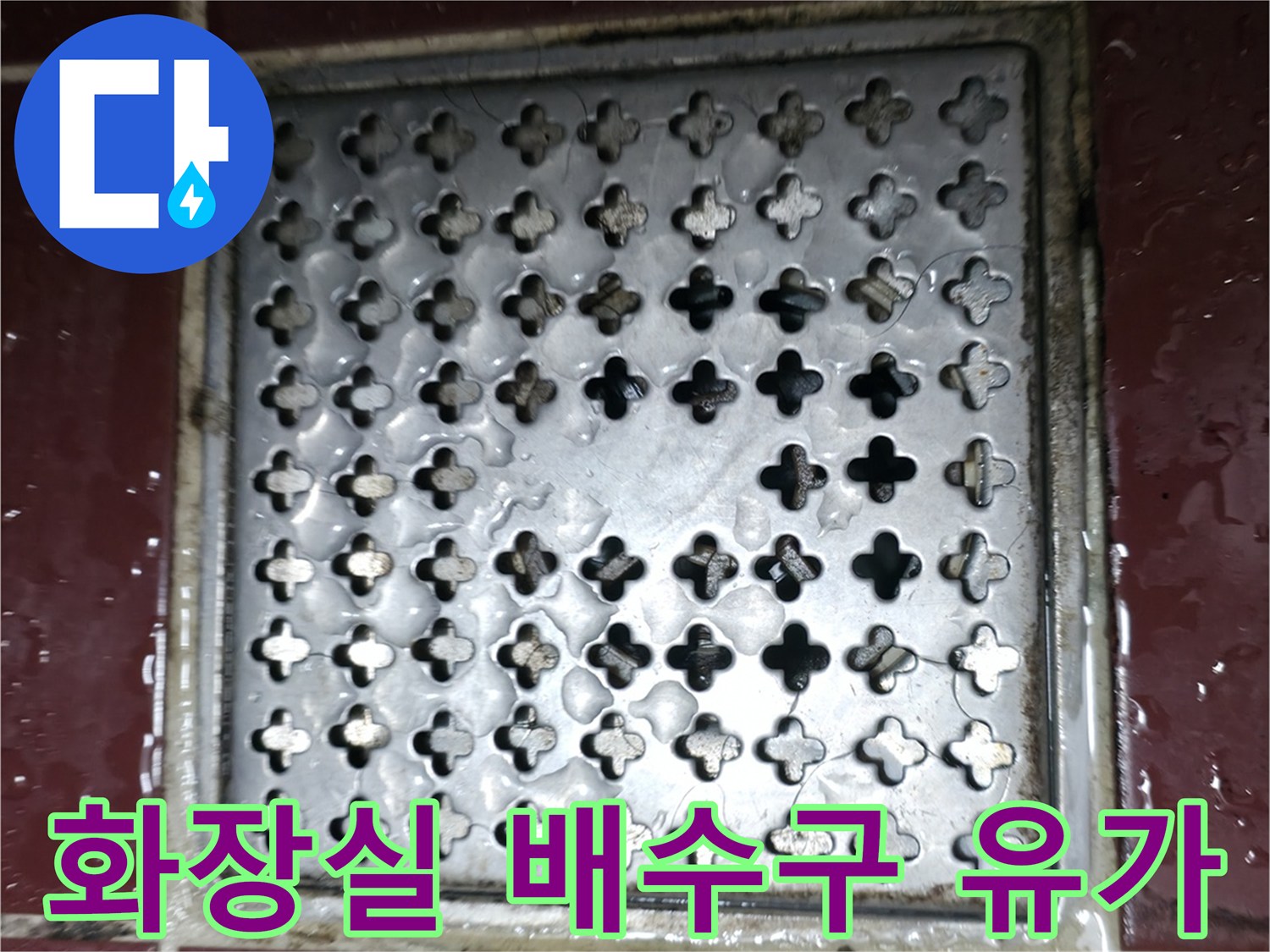 양주시 백석읍 화장실 바닥 배수구 유가 상태