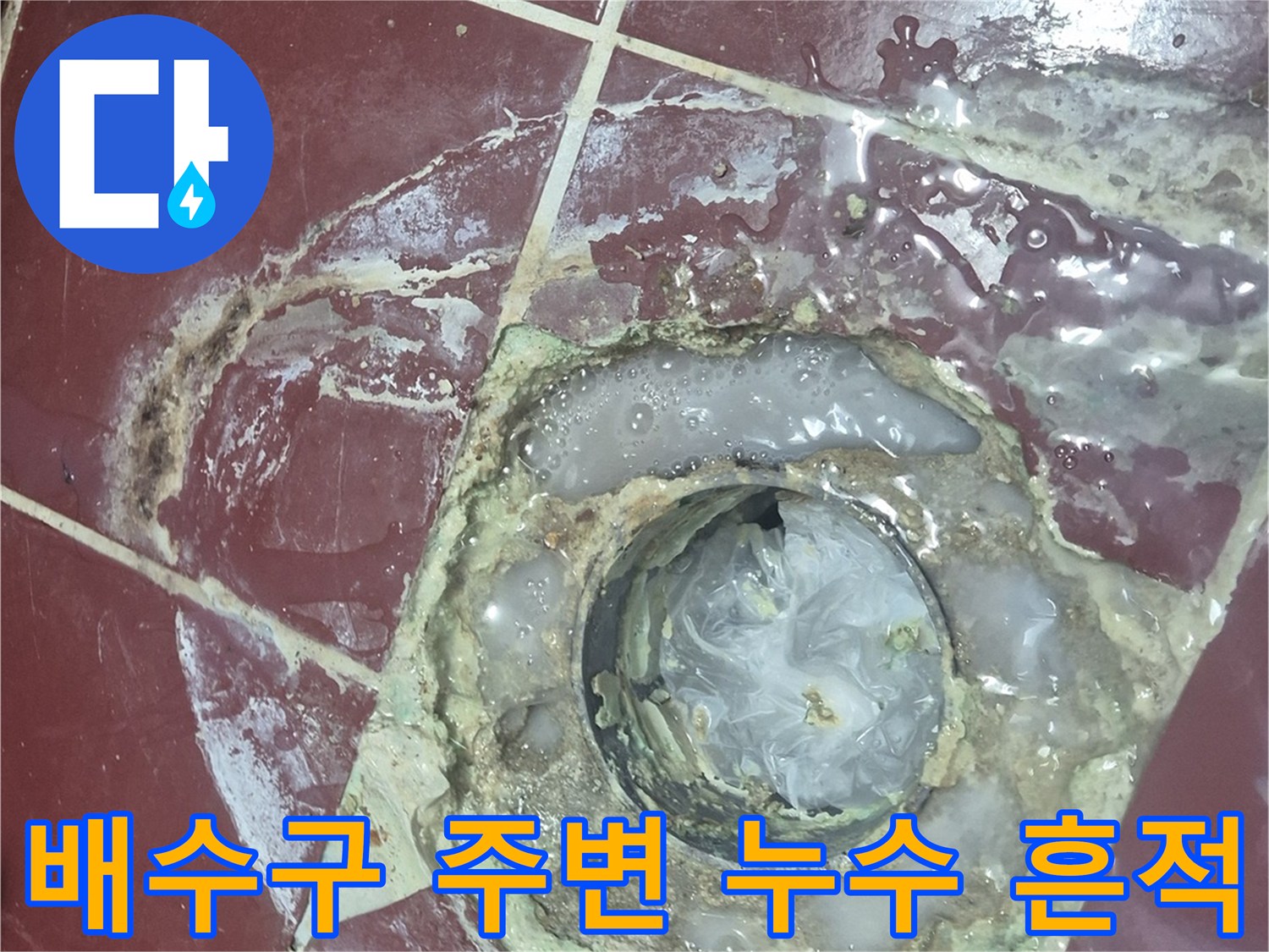 화장실-배수구-유가-주변의-방수층-파손과-오염된-상태