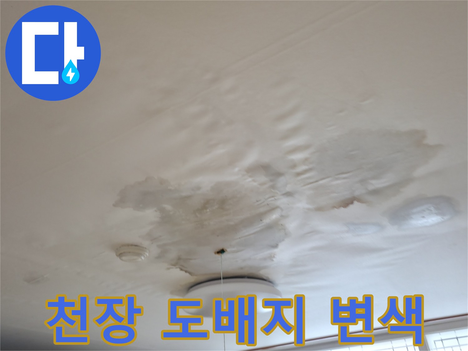 물에 젖어 넓게 퍼진 주방 천장의 누수 흔적