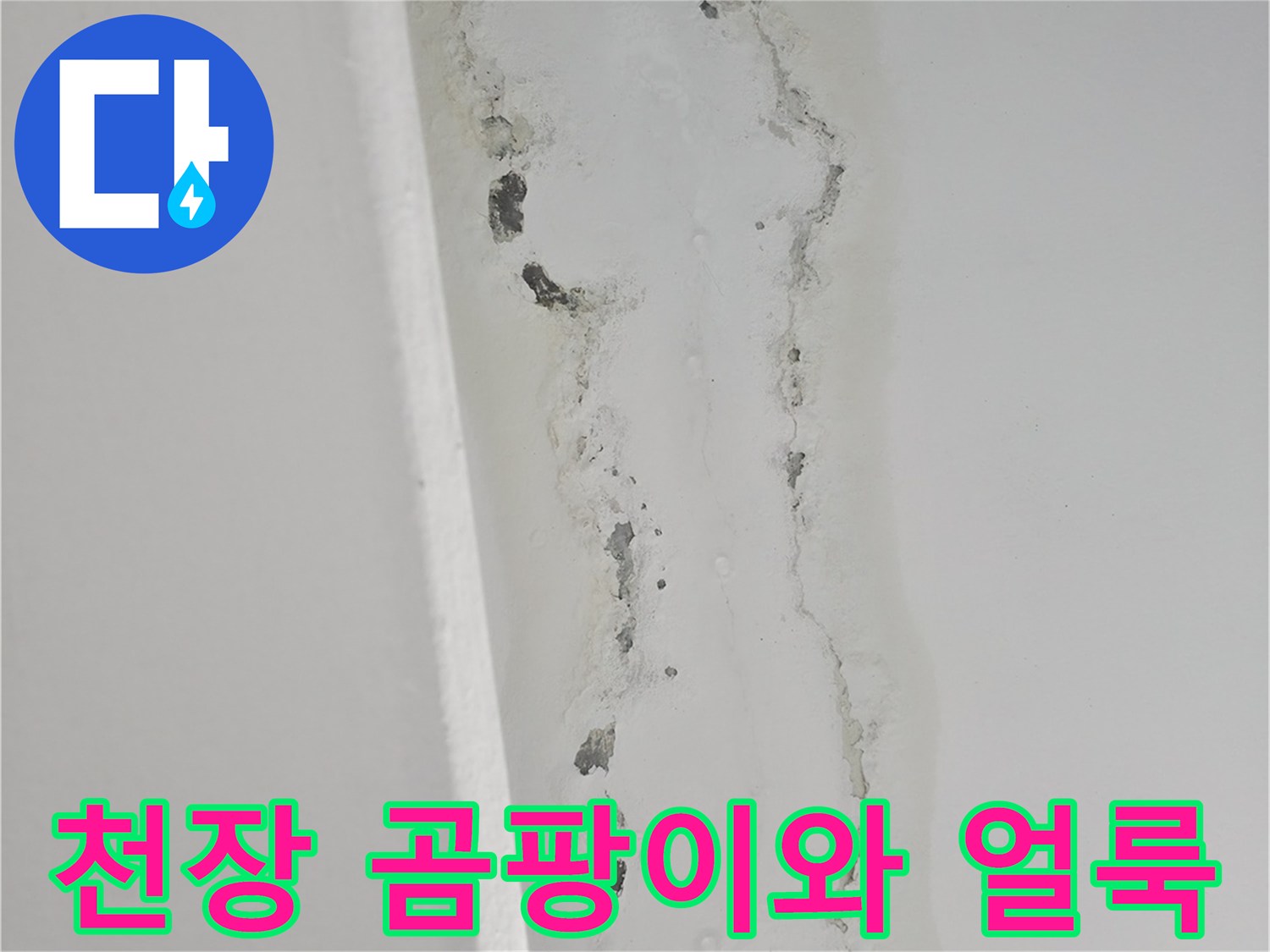 주방 천장 벽면-누수로 인한 변색과 곰팡이 발생