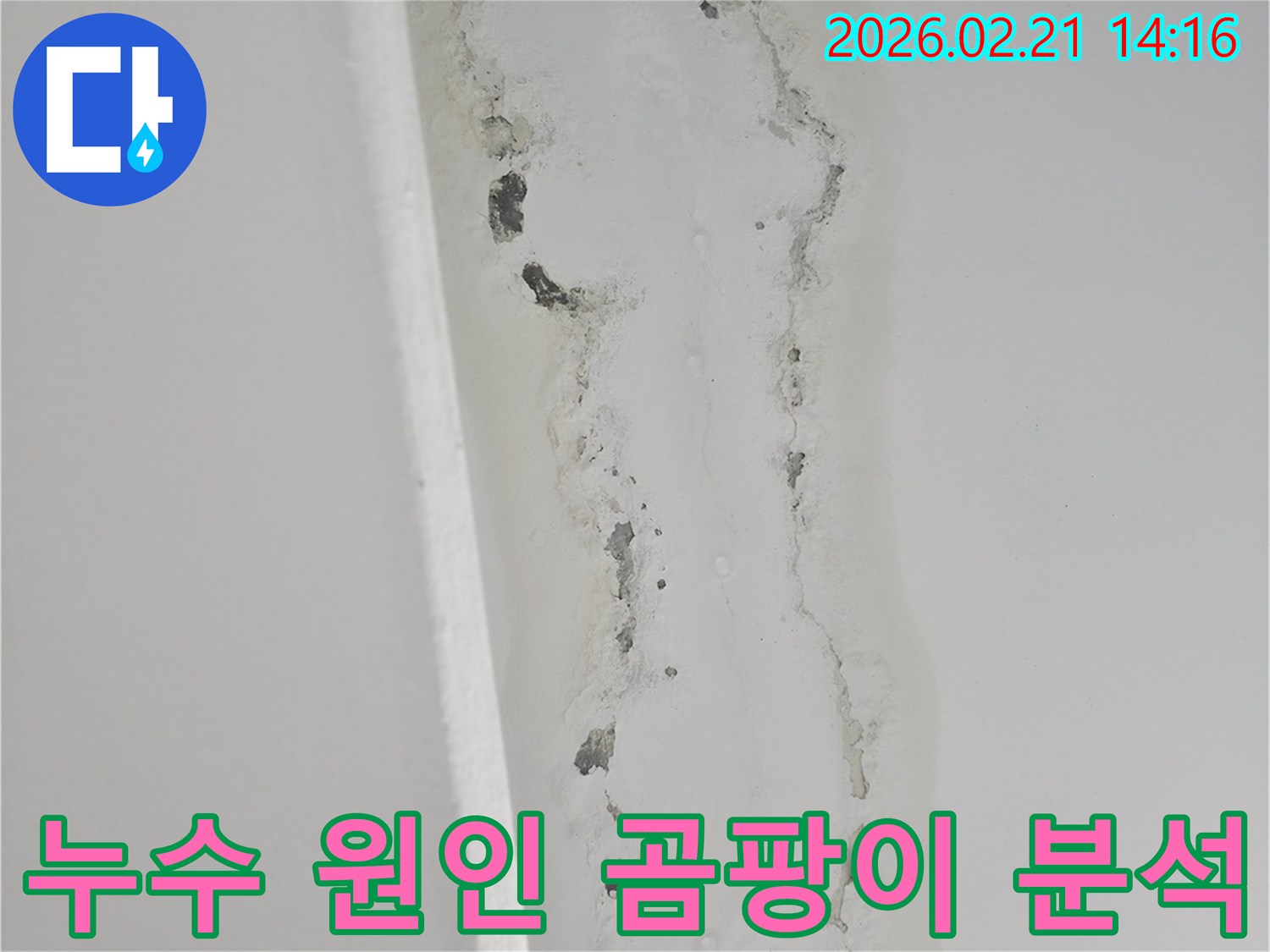 천장-누수로-인해-벽면에-발생한-심각한-곰팡이와-물자국을-보여주는-사진