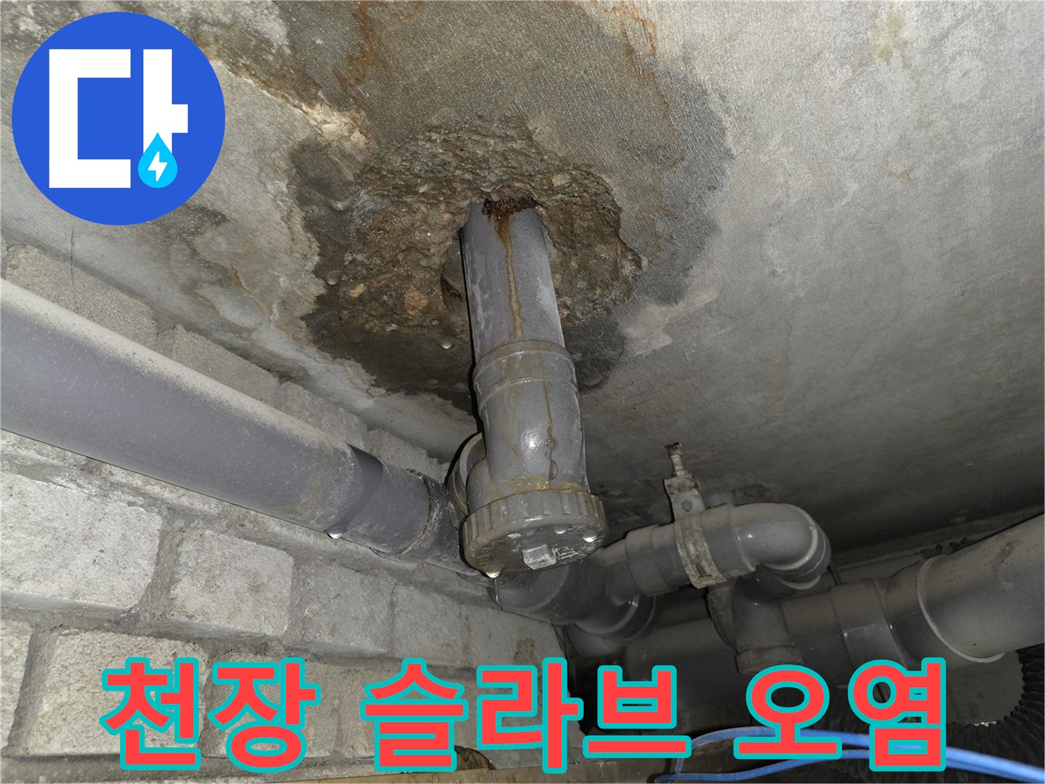 배수관 주변의 습기와 부식된 천장 콘크리트 면