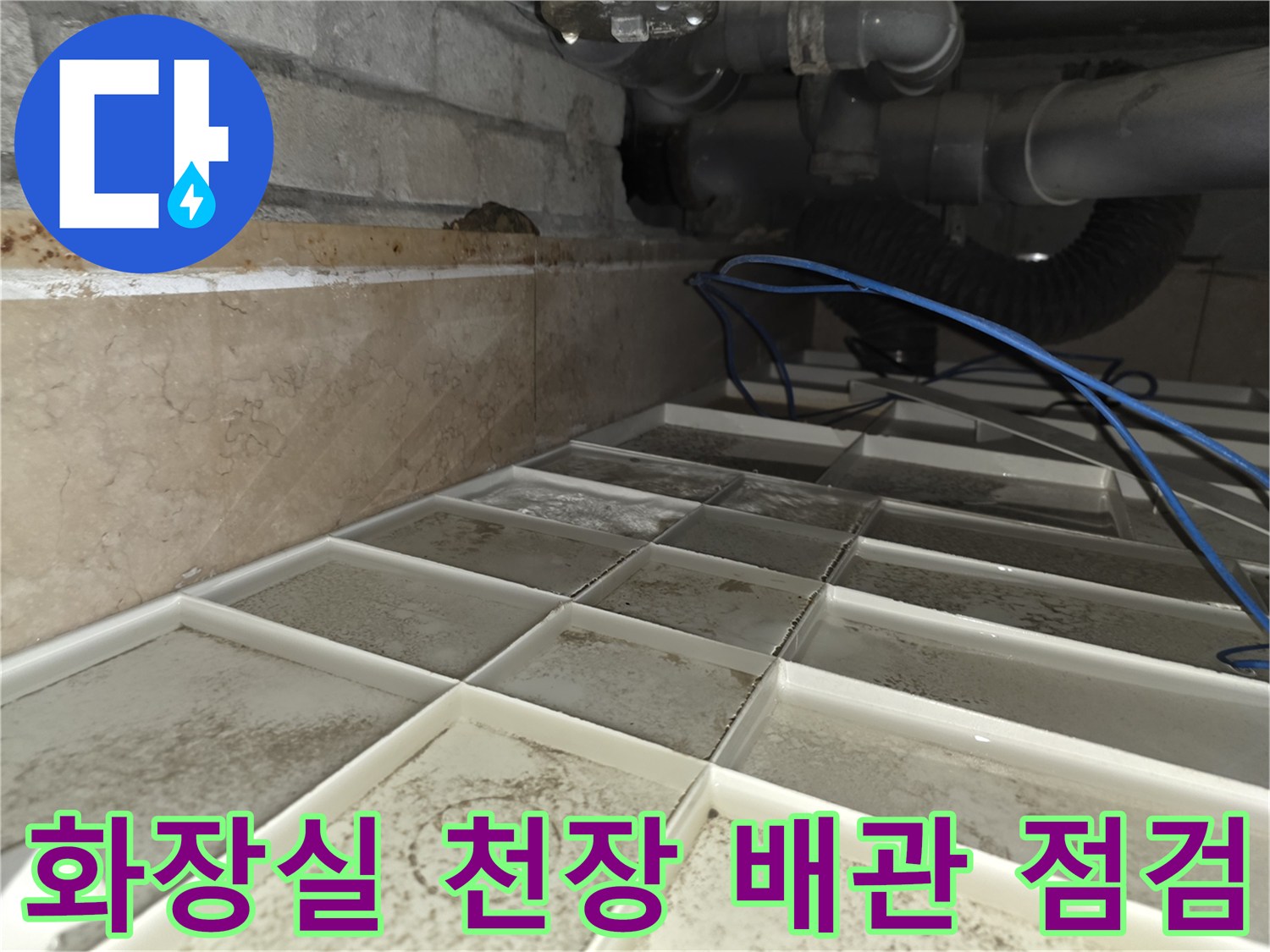 서초구 화장실 천장-오배수관 주변 습기 확인