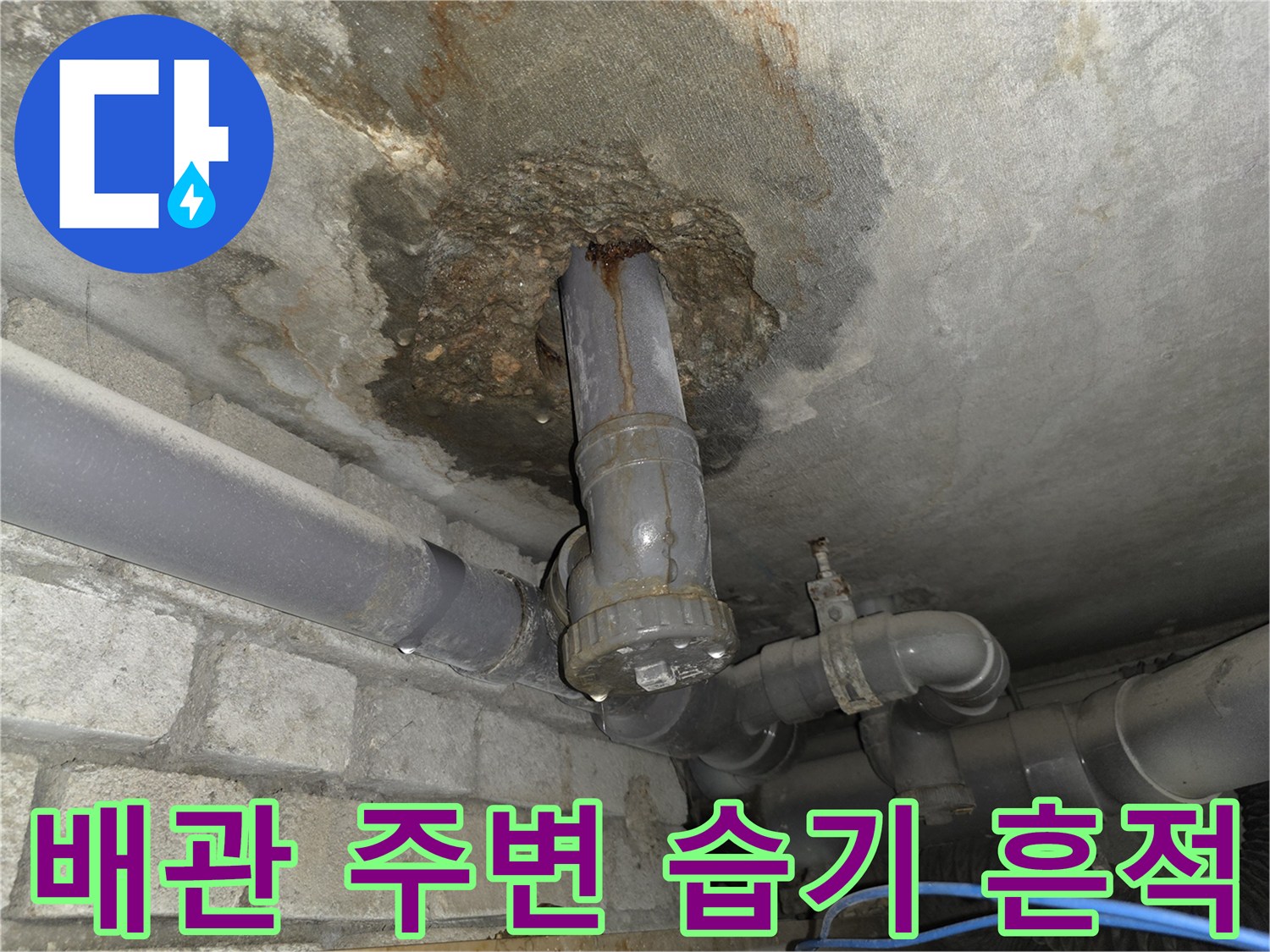 축축하게-젖은-천장-콘크리트와-오염된-배수관