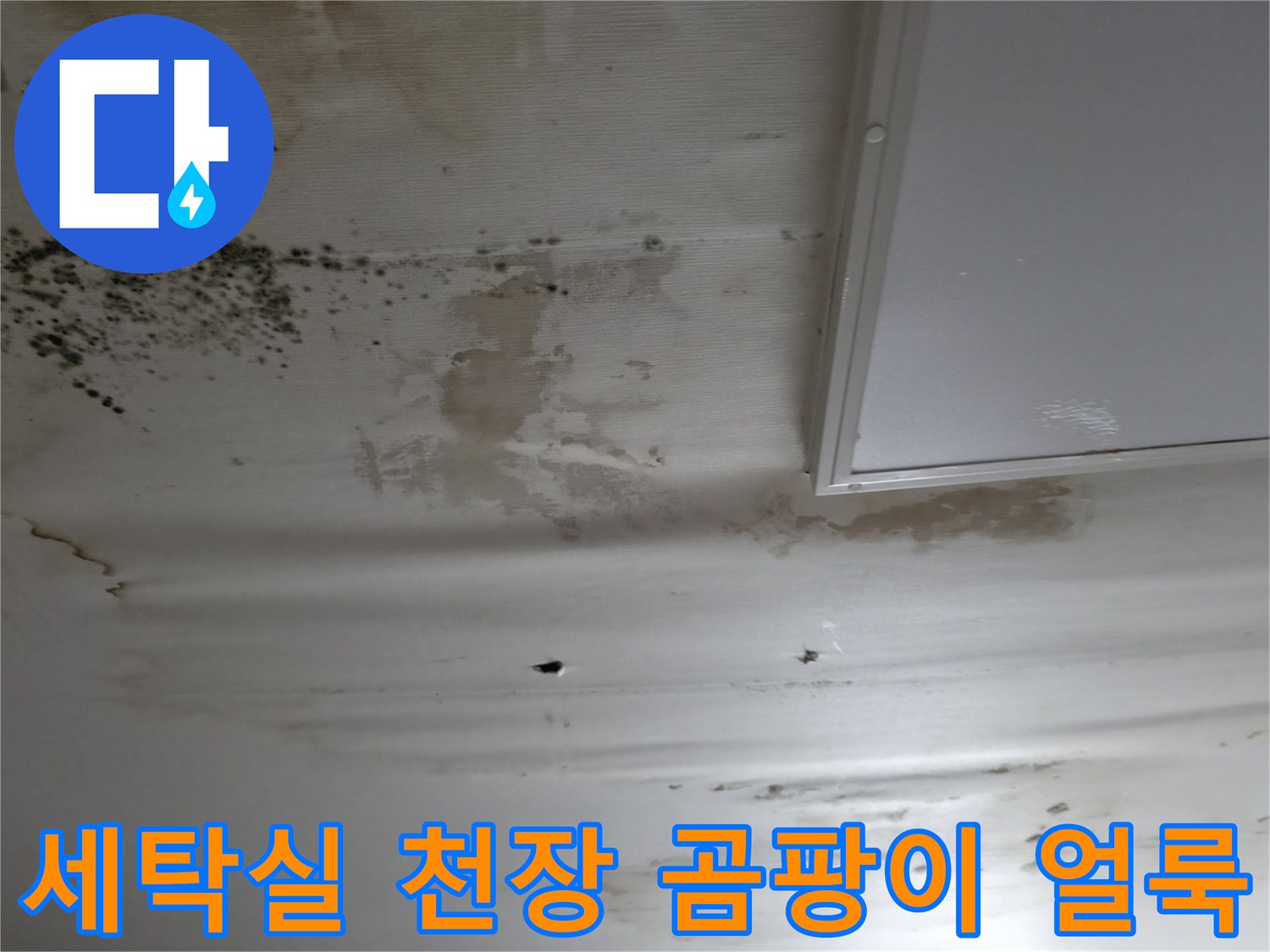 강남구 세탁실 천장-심한 곰팡이와 변색된 얼룩 상태