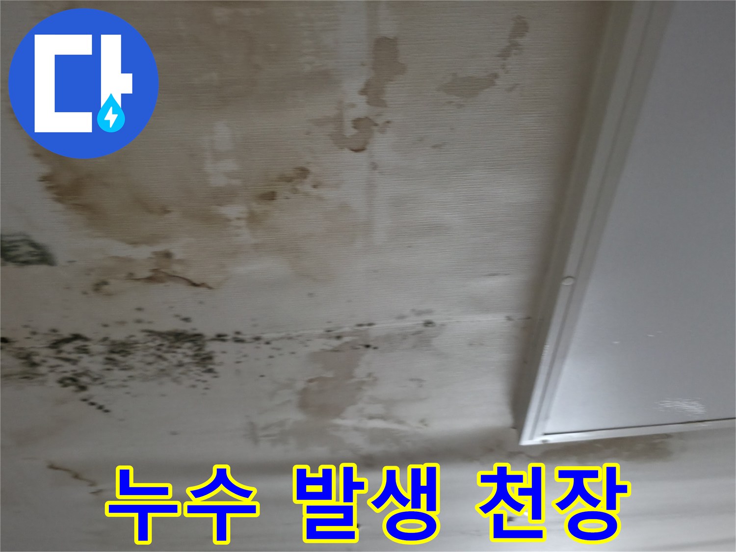 강남구 현장-곰팡이와 얼룩으로 오염된 세탁실 천장 부위