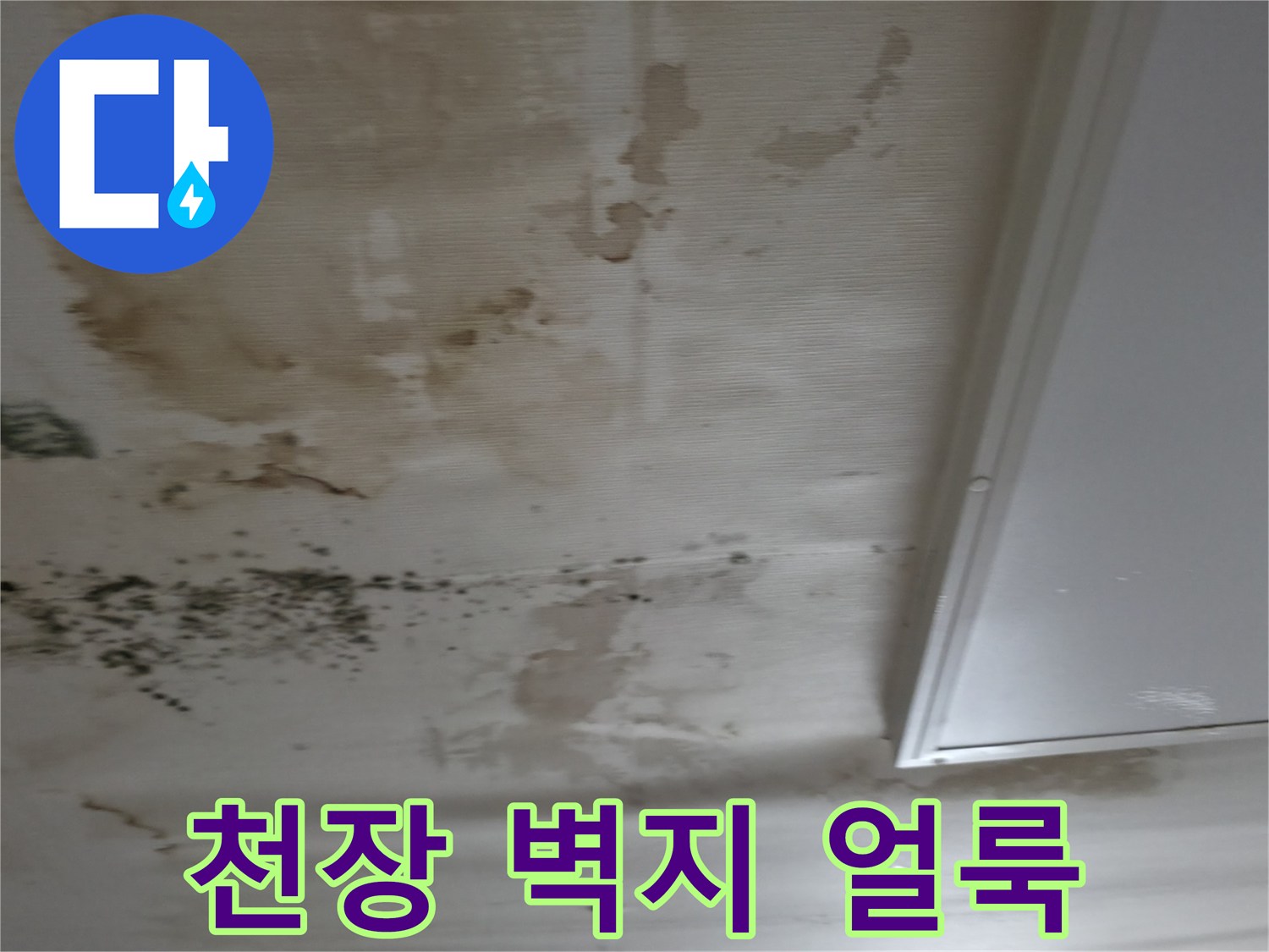 물샘으로 인해 발생한 갈색의 넓은 얼룩과 변색 부위