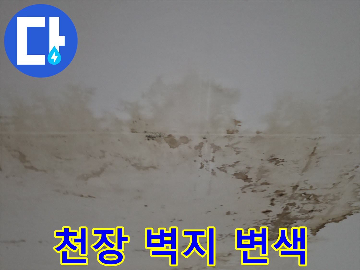 물샘으로 인해 훼손된 천장 벽지 표면