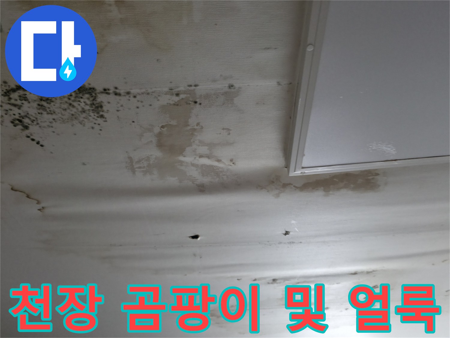 천장 마감재의 심한 누수 흔적과 곰팡이 상태