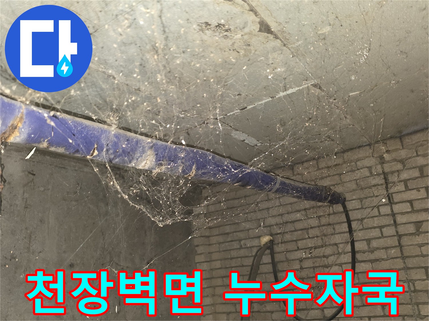 누수로 인해 누렇게 변색된 천장 벽돌과 배관