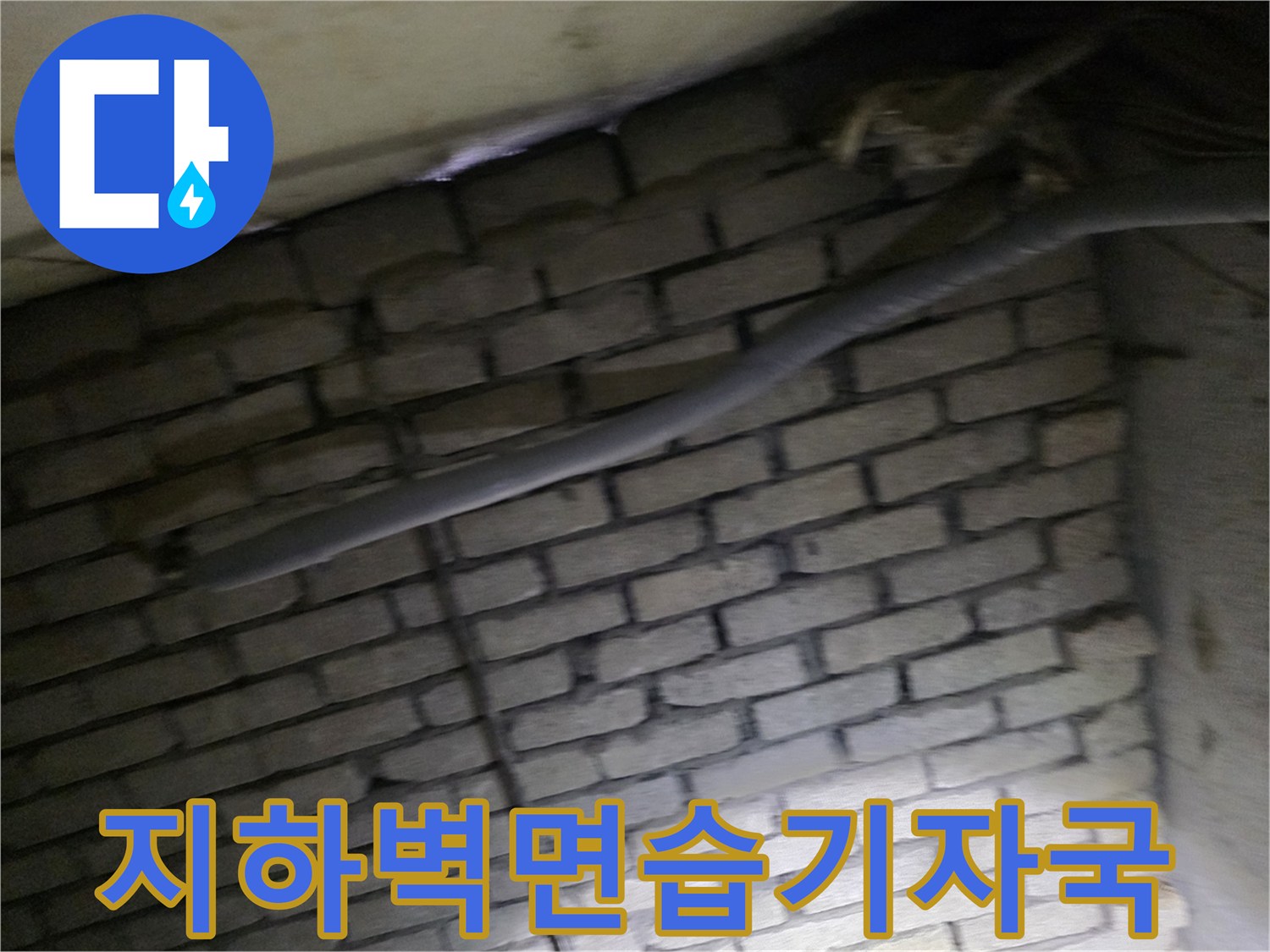 물샘으로 인해 변색된 지하 계단실 벽돌 부위