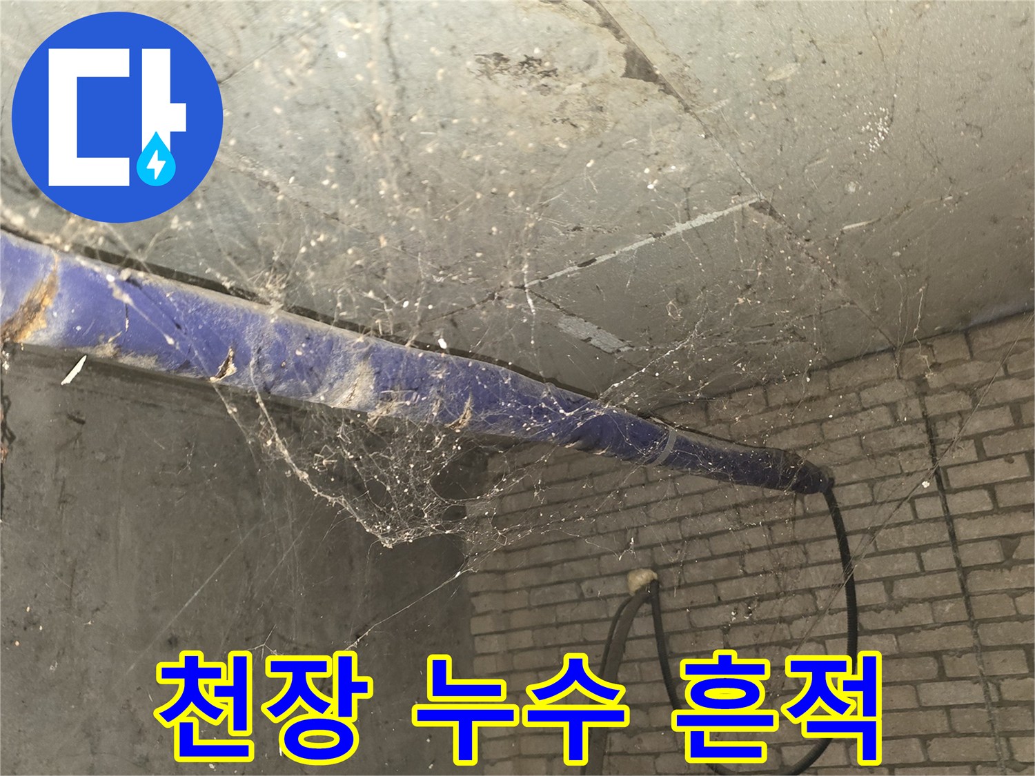 배관을 따라 발생한 천장 누수 오염 자국