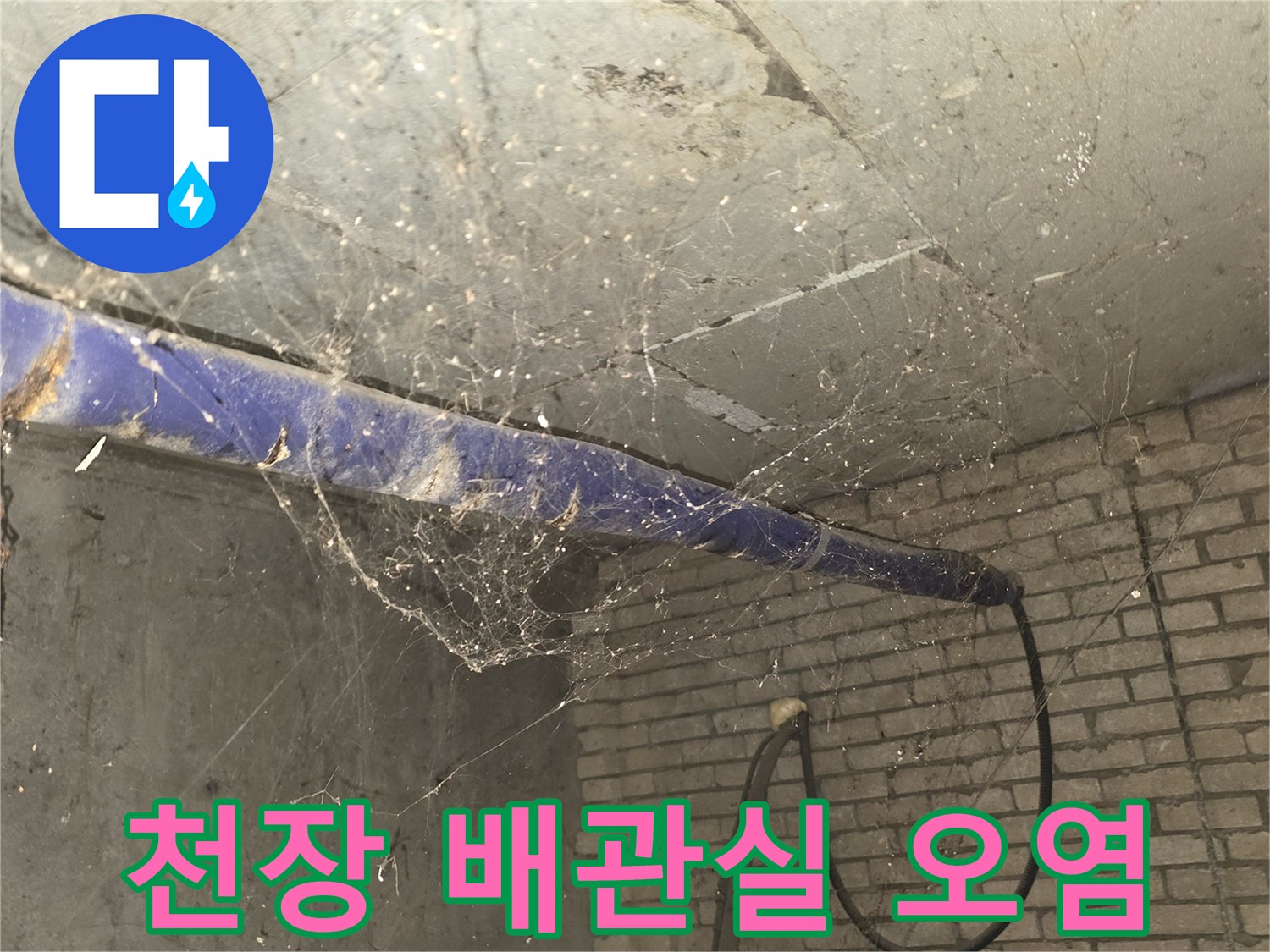 배관이 지나가는 천장 내부의 습한 환경과 오염된 마감재