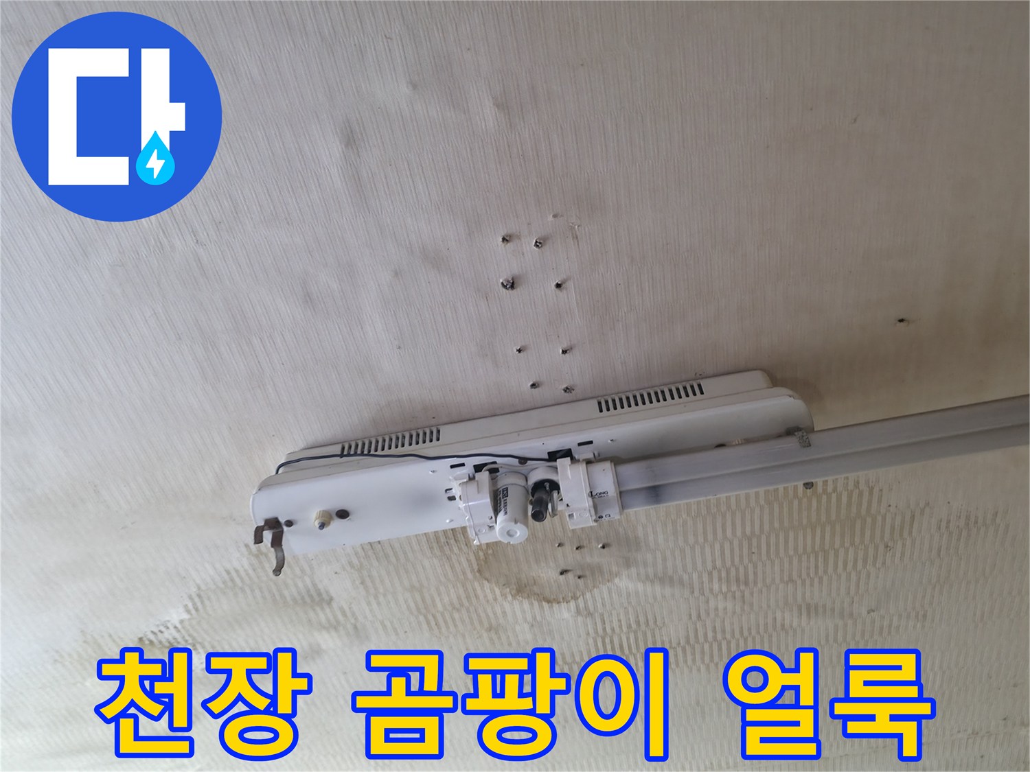 습기로 인해 발생한 천장 벽지 곰팡이와 변색 부위