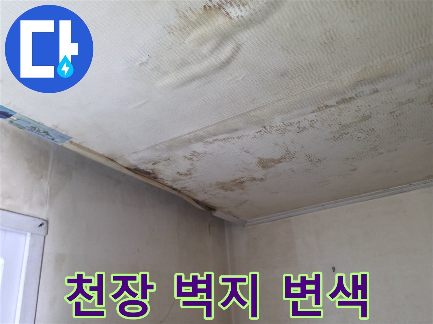 천장-벽지-오염된-누수-피해-현장