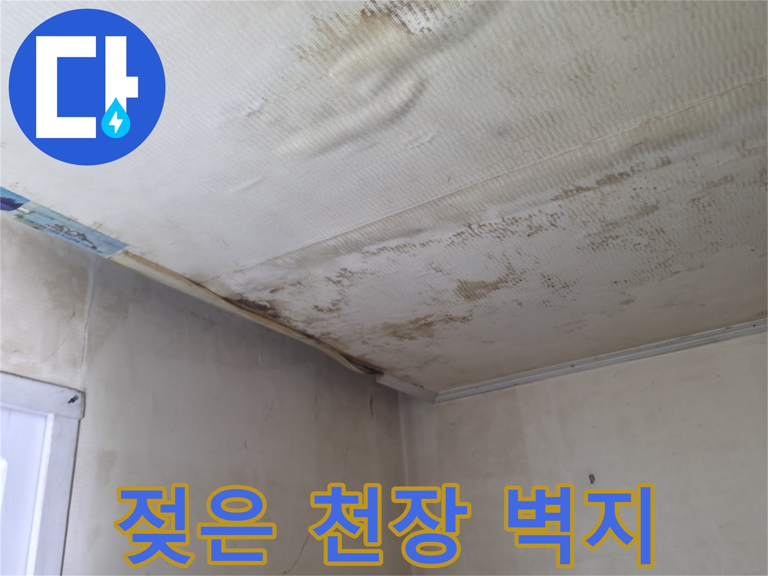 천장 얼룩 부위-누수로 인해 젖고 변색된 벽지 모습