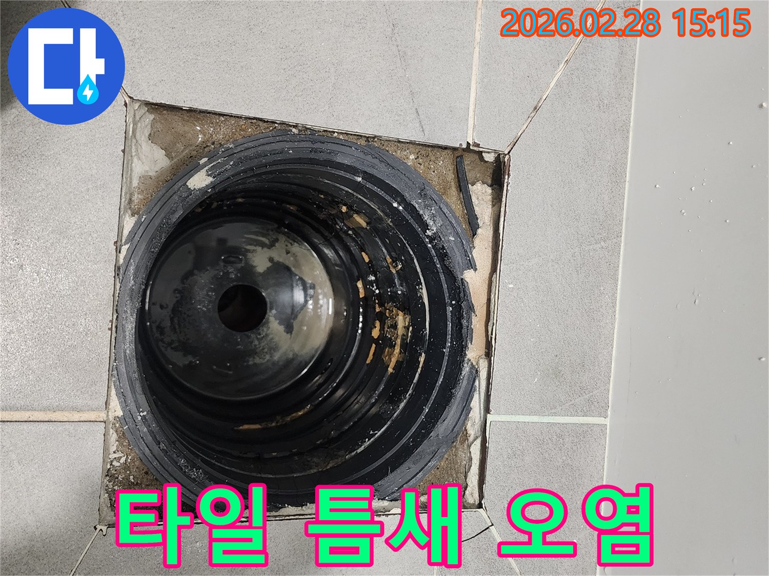 이-사진은-서울-금천구-시흥동-주택-누수-현장에서-배수구-주변의-타일-틈새가-오염된-모습을-보여줍니다