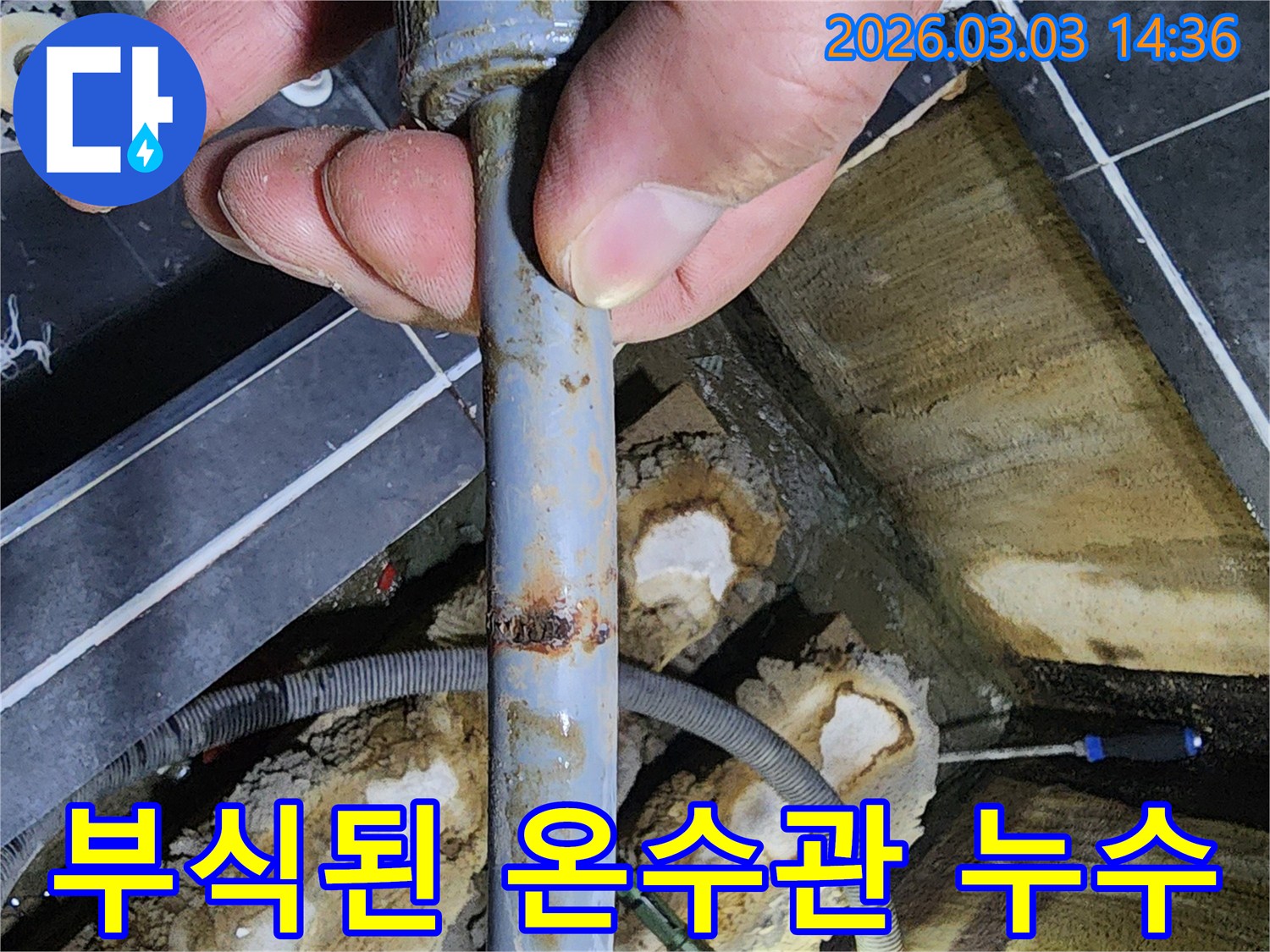 전문가가-누수 탐지 중-녹슨 배관을-발견한 순간