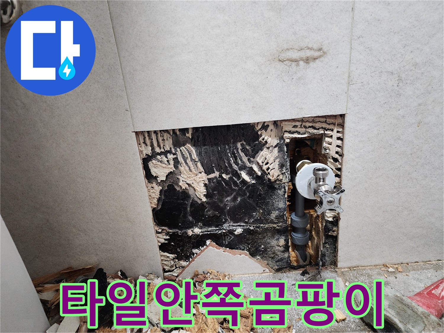 누수로-오염된-벽체-내부의-심한-변색 상태