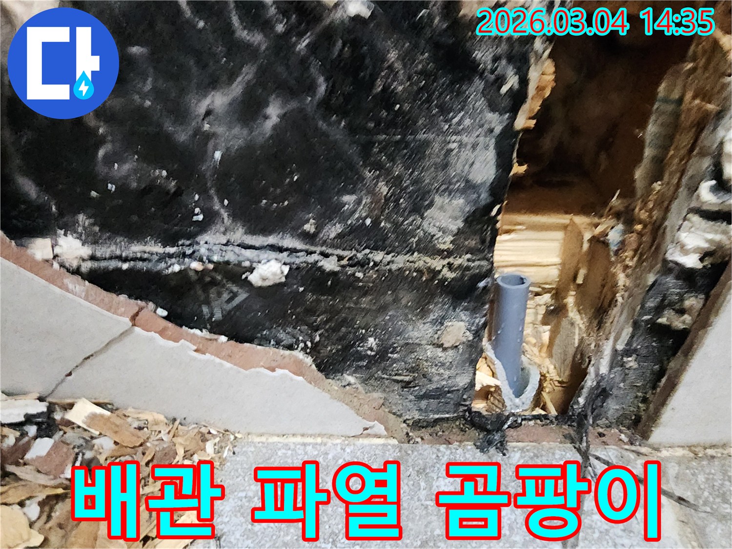 벽을 개방하여 발견된-배관 파열과 곰팡이의 모습입니다