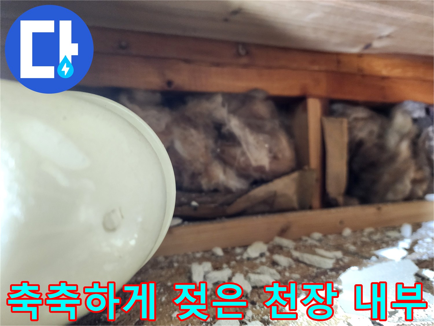 습기가-가득히-스며든-천장-구조재