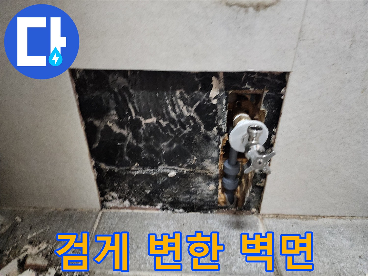 습기로 인한 벽체-변색 및 곰팡이 현상