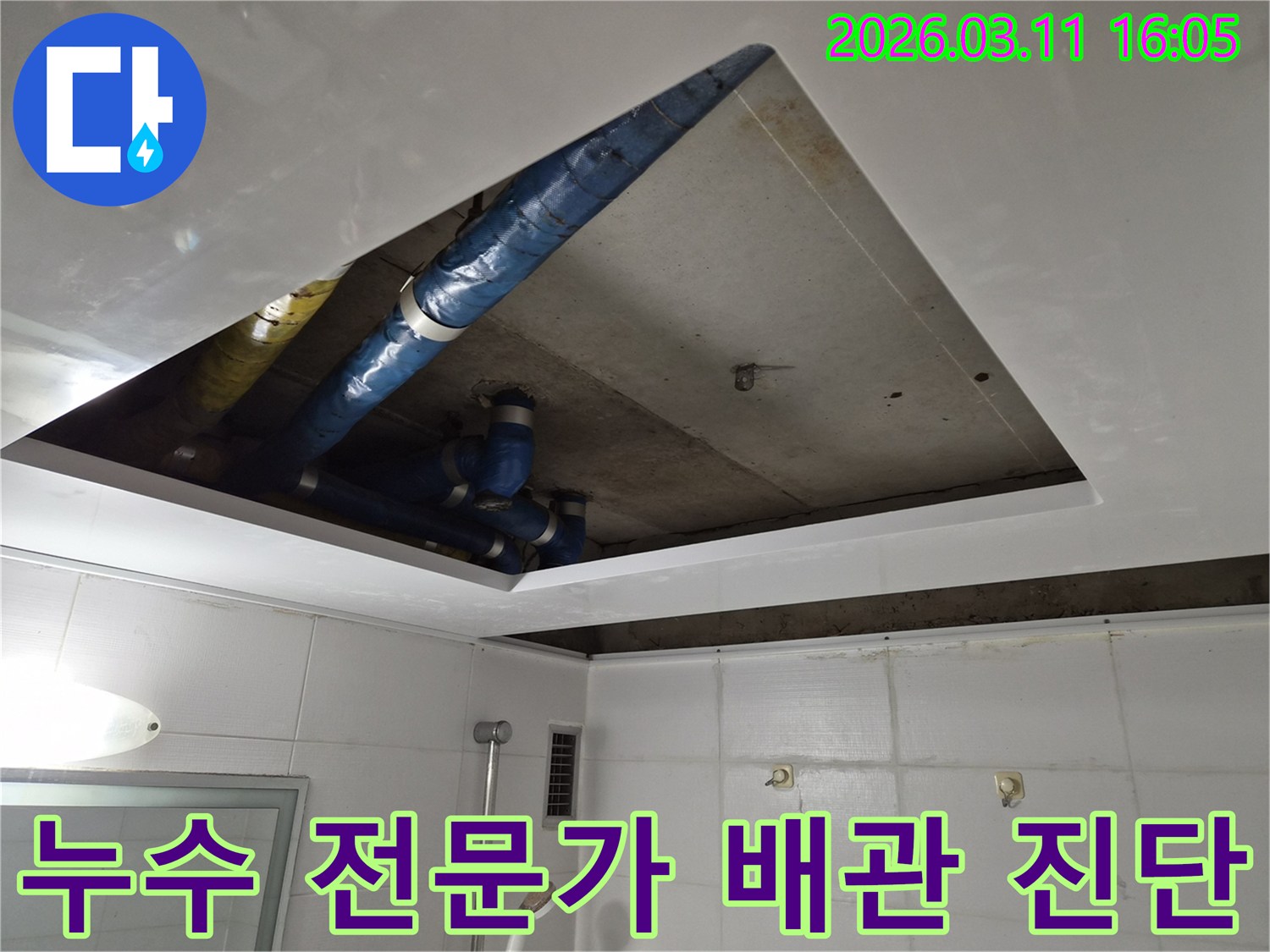 누수-전문가-천장-배관-진단-노하우-현장-파란색-파이프-확인-작업