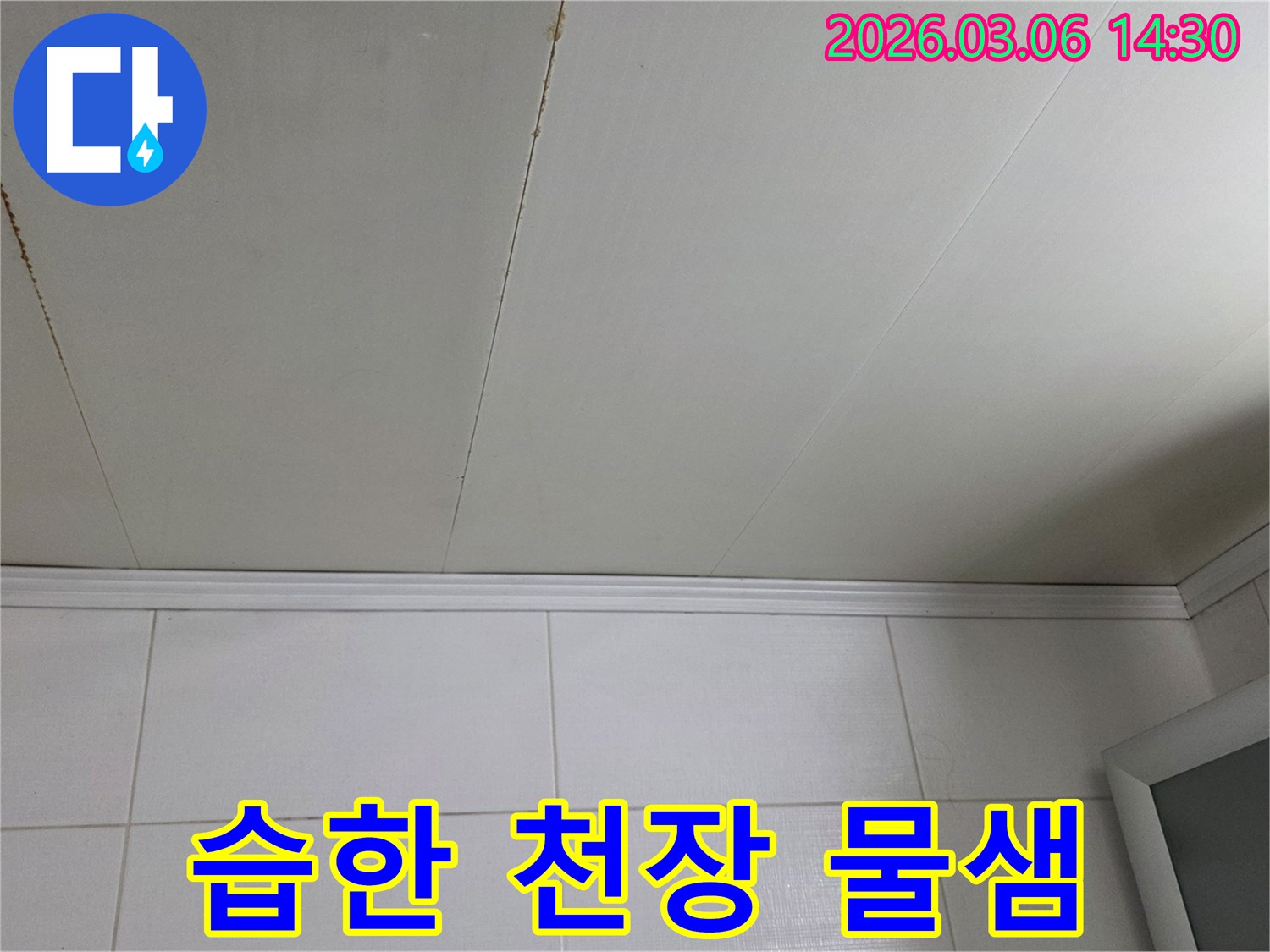 습한-환경에서-발생한-천장-물샘-현장을-전문가가-관리하고-있습니다