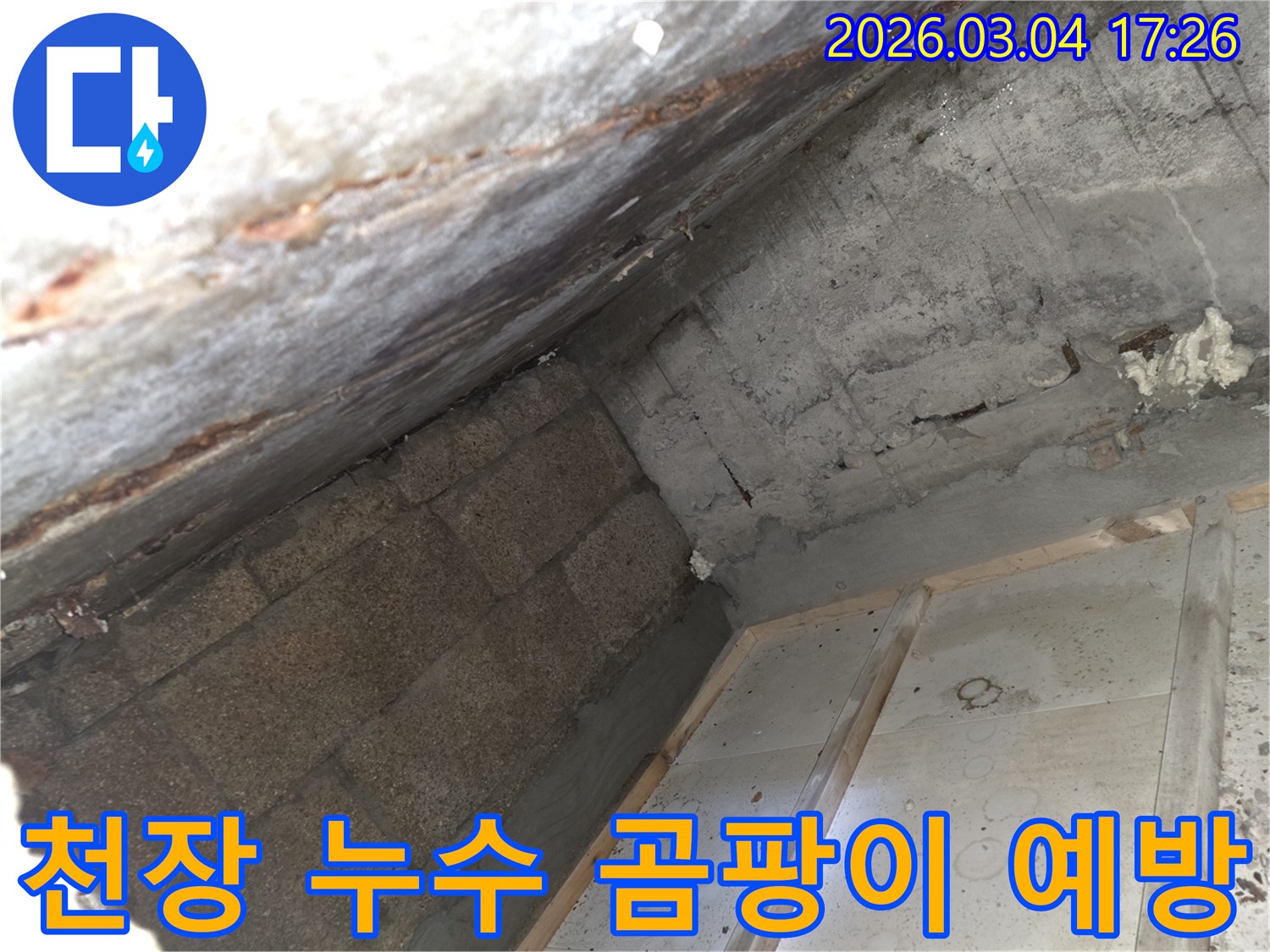 천장-누수-흔적-발견-곰팡이-발생-위험-신속한-조치-필요