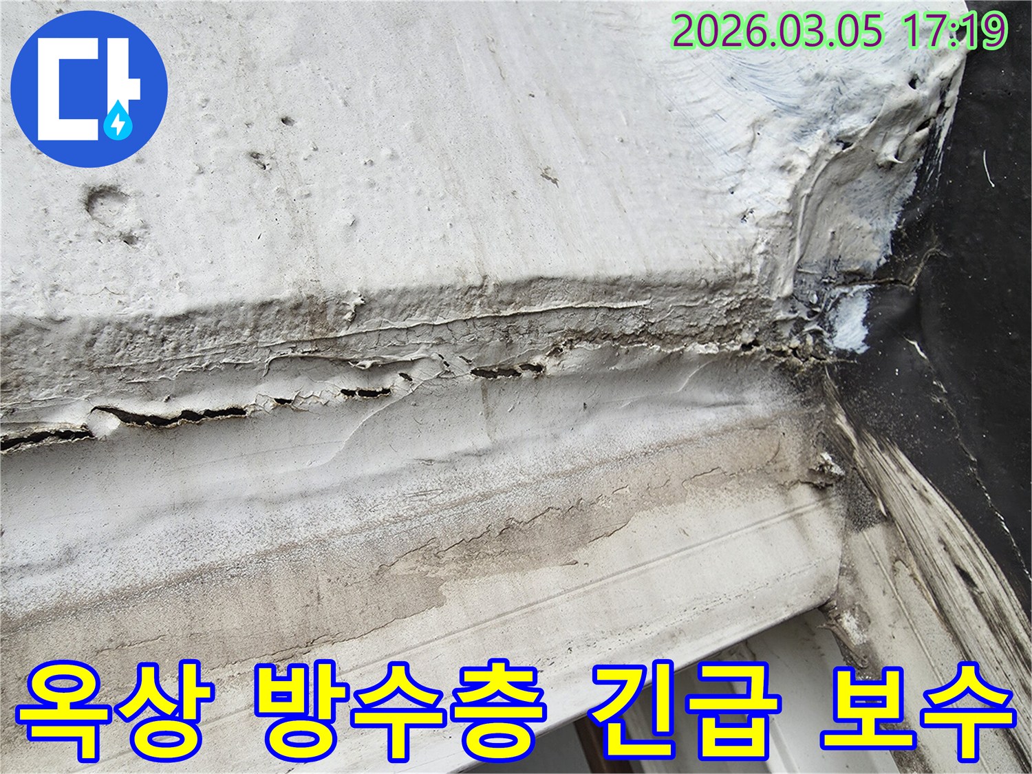 빌라-옥상-방수층-심각한-파손으로-인한-누수-현장-긴급-점검-사진