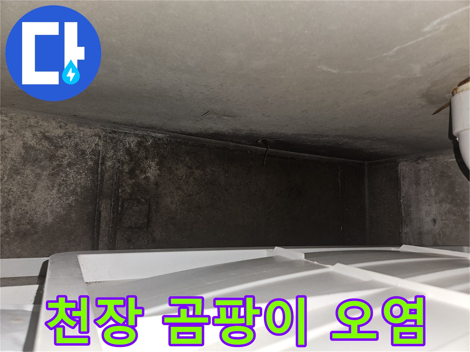 누수로 인해 검게 변한 천장 슬래브와 곰팡이 발생 부위