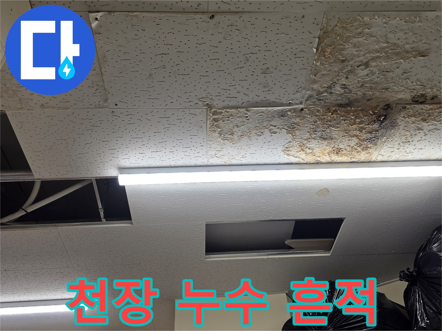 물샘 증상이 나타난-편의점 창고 천장 내부