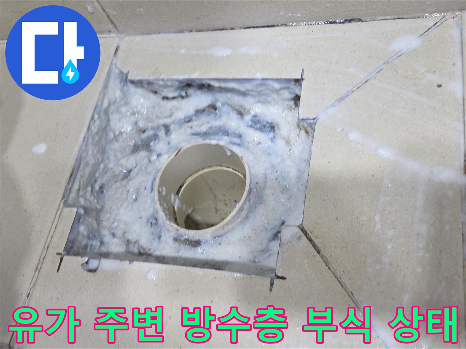 욕실-배수구-주변-방수층-부식-및-물침투