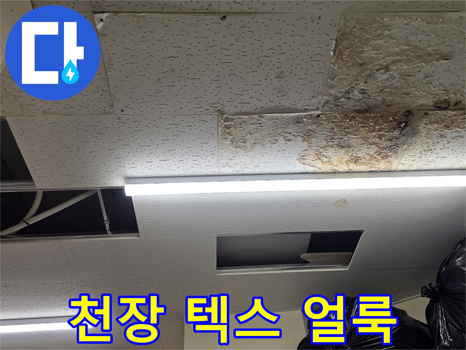 철원 편의점 창고-천장 텍스 오염 및 습기 상태
