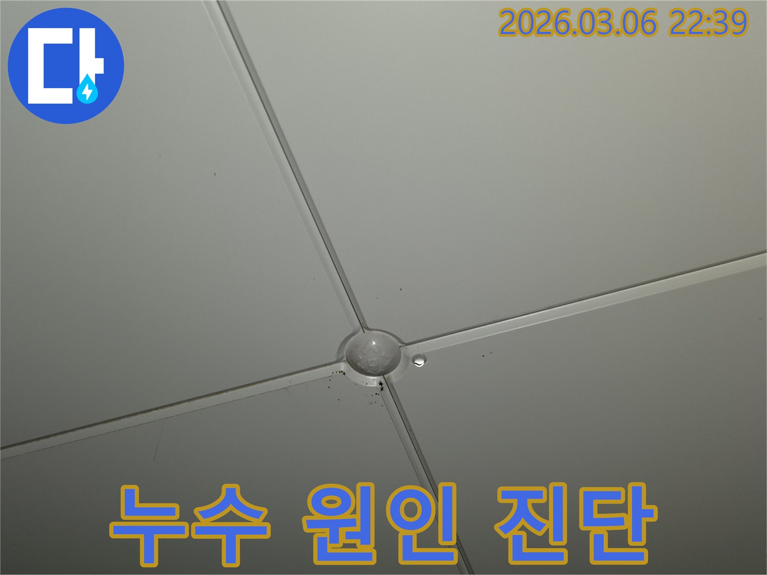 천장 마감재 교차점에서-물방울이 형성되어-떨어지기 직전의-누수 발생 현장