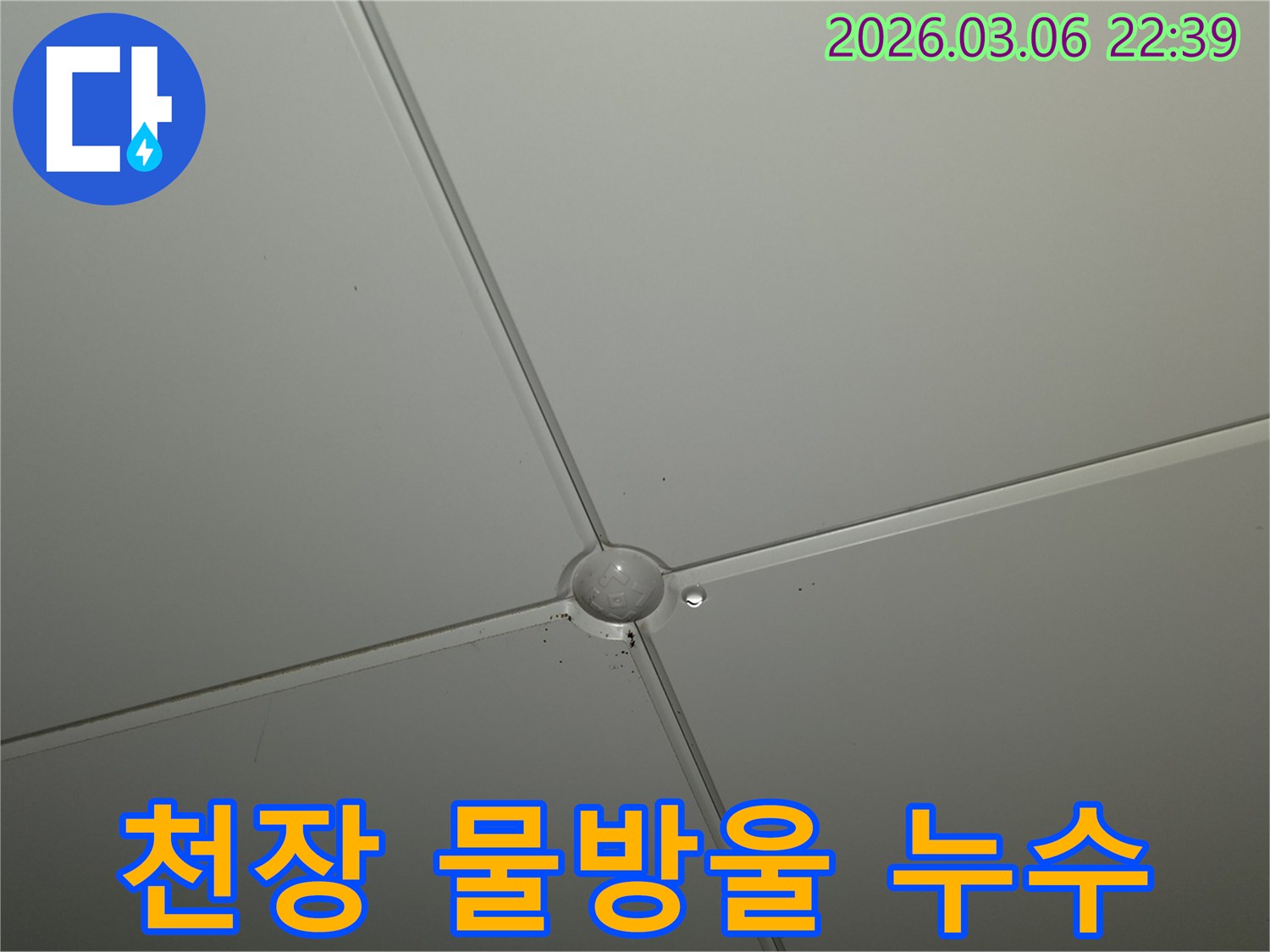 천장 마감재 교차점에서-작은 물방울이 맺혀있는-누수 초기 증상 현장