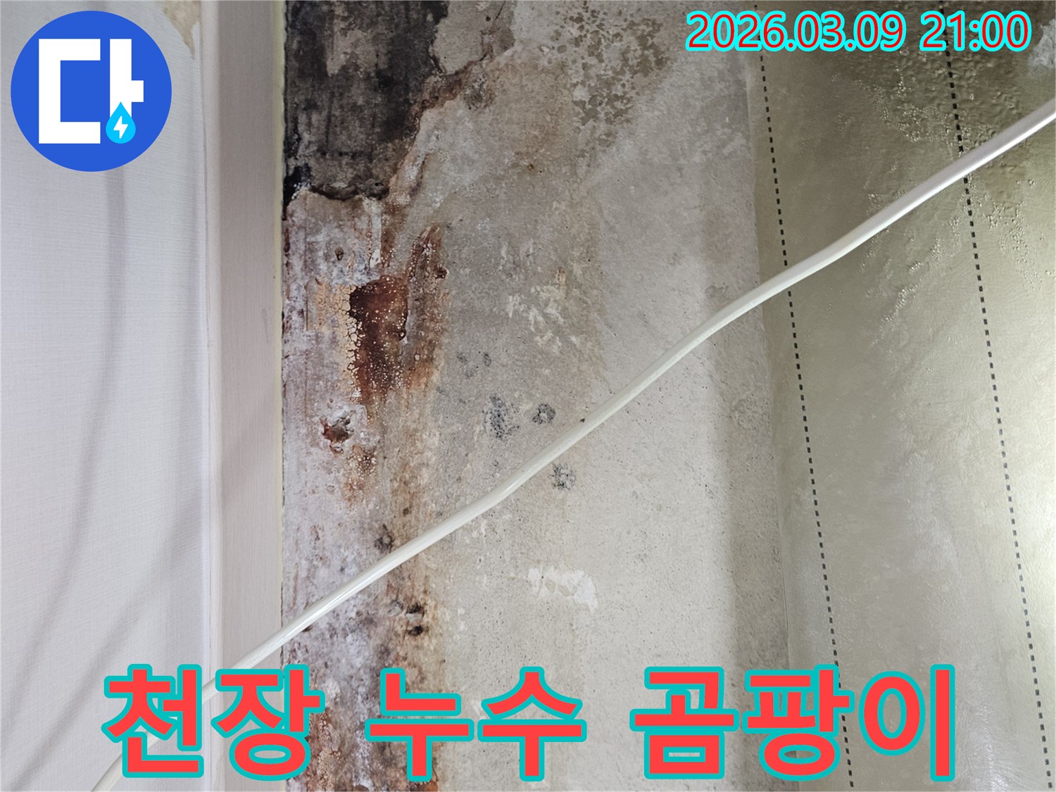 천장-누수로-인해-발생한-심한-곰팡이와-오염-상태-사진