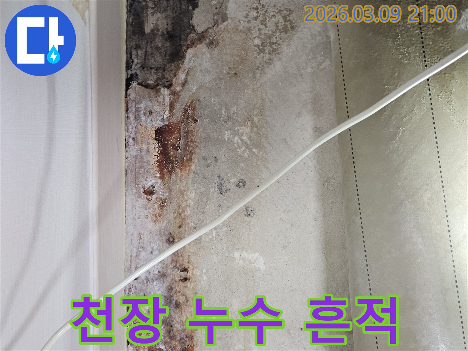 천장에서-발견된-누수-흔적과-곰팡이-피해-사진