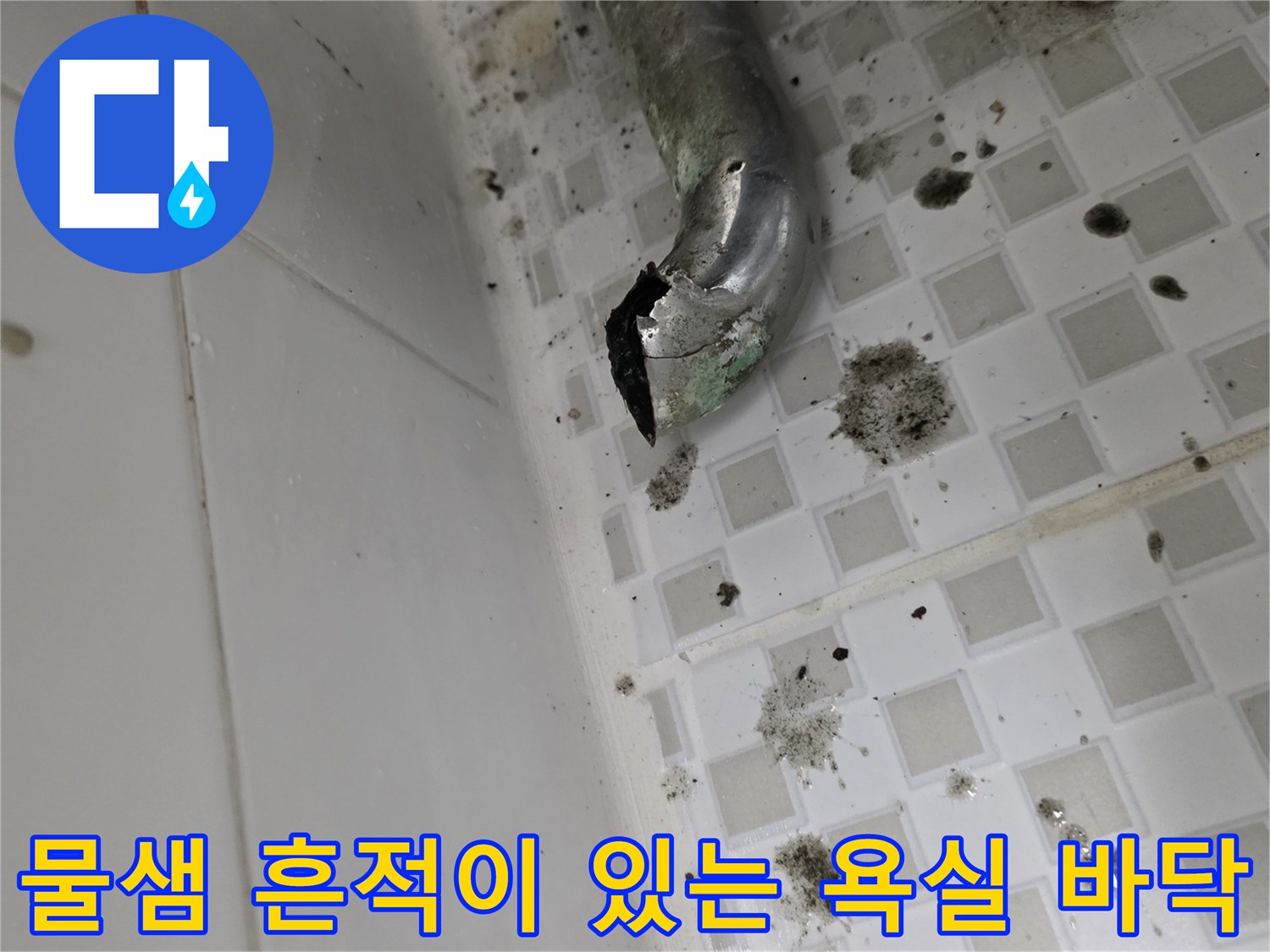 배수관-파손으로-인해-오염된-욕실-바닥-타일