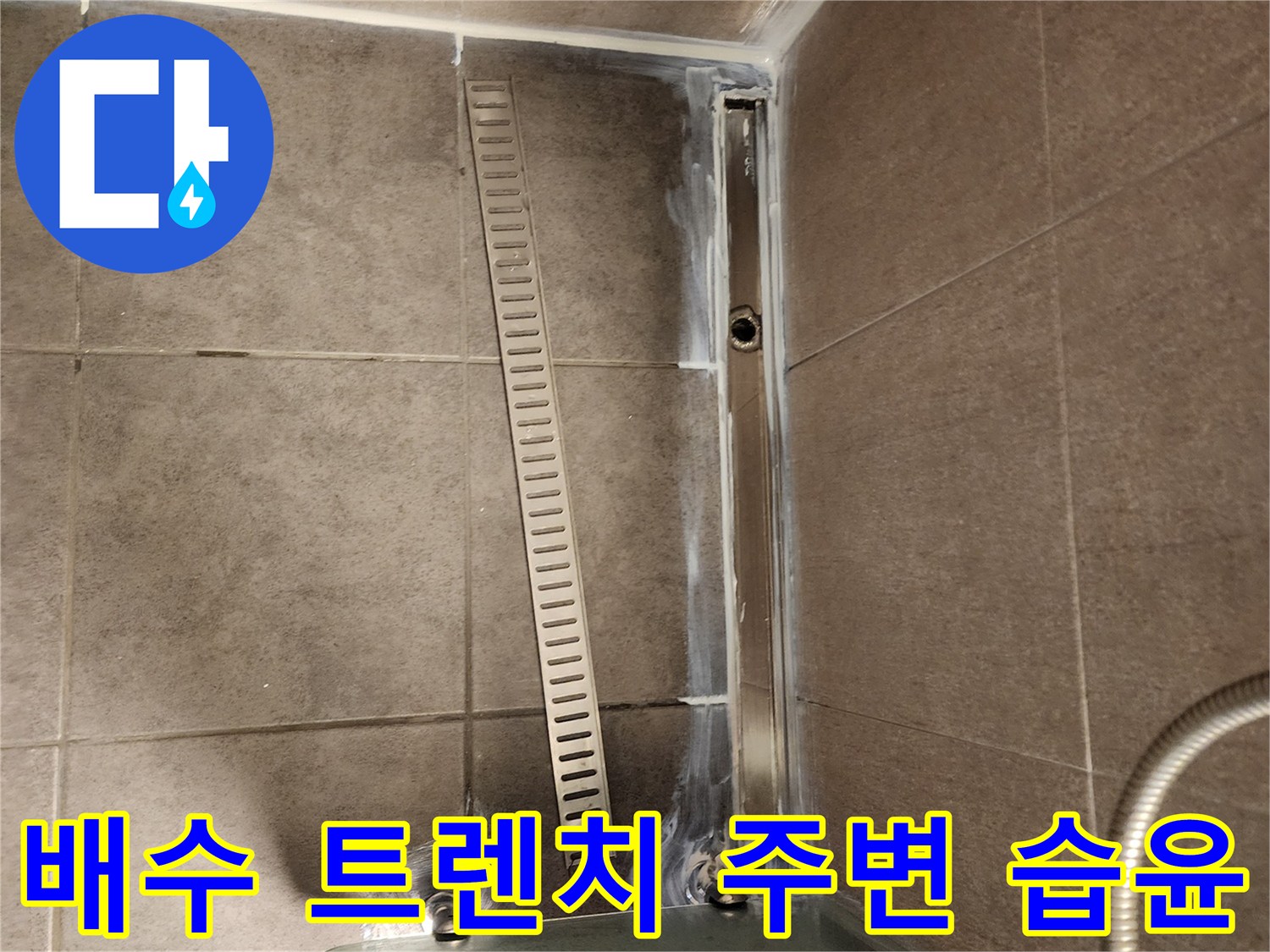 화장실-바닥-배수구-주위-습기-침투
