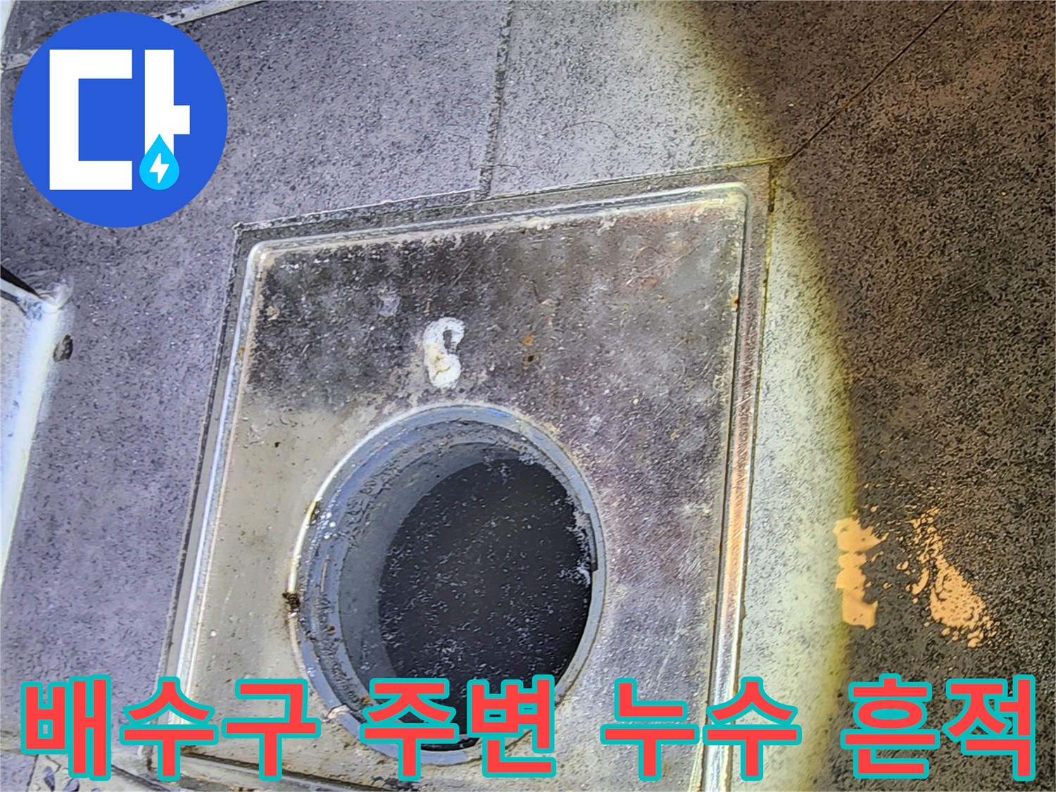 화장실-배수구-유가-주변의-습기-및-오염-상태
