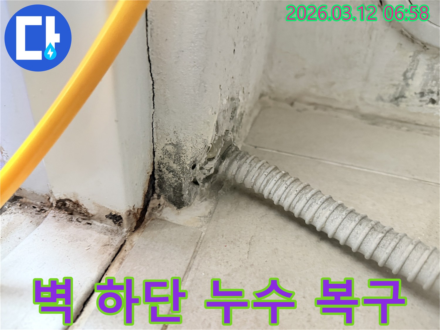 마포구-하중동-주택-벽-하단부의-심각한-누수-흔적과-곰팡이-상태-사진