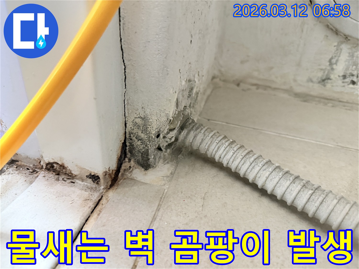 물샘-현상으로-인해-벽지가-손상되고-곰팡이가-번진-마포구-주택-내부